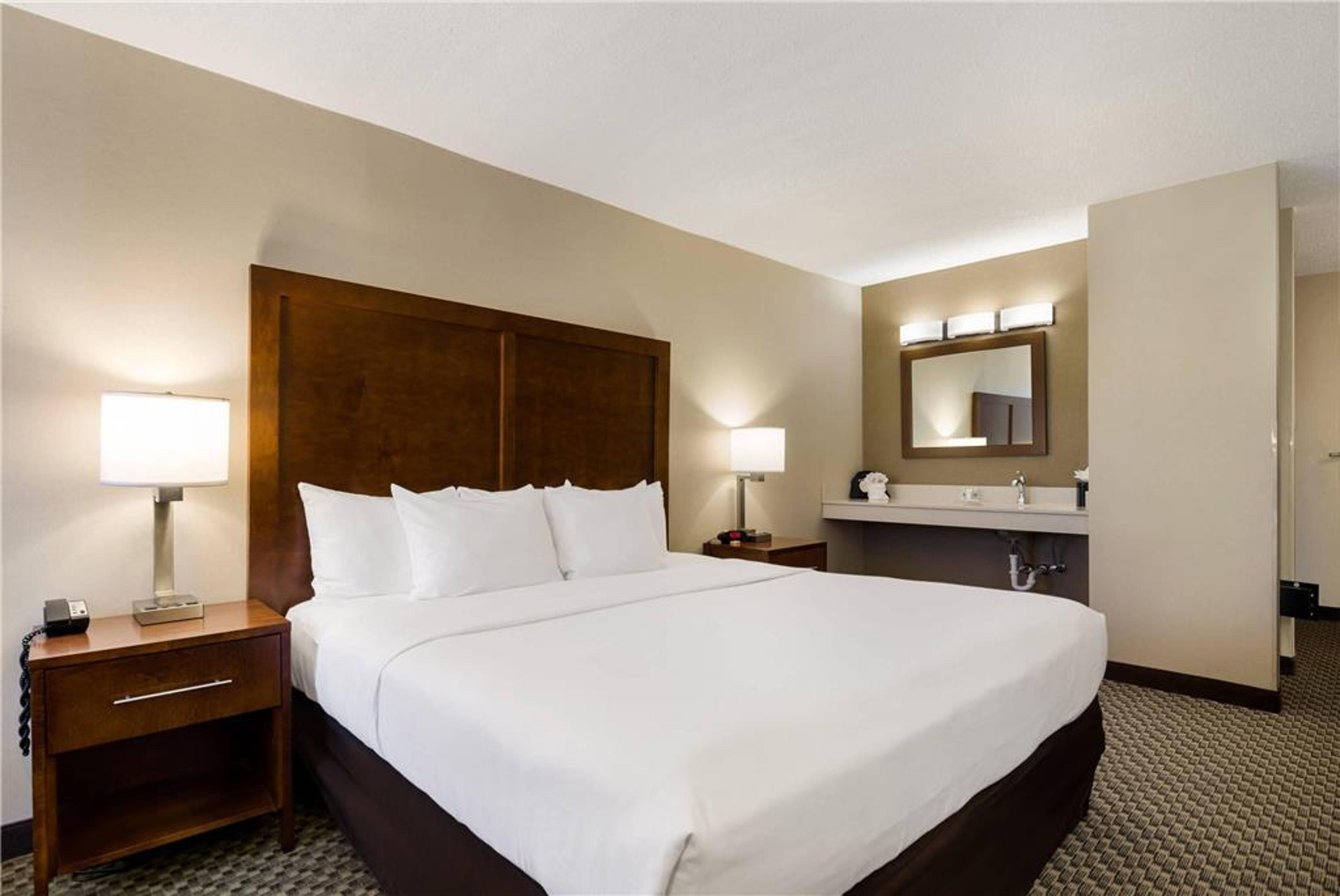 COMFORT INN VIRGINIA HORSE CENTER