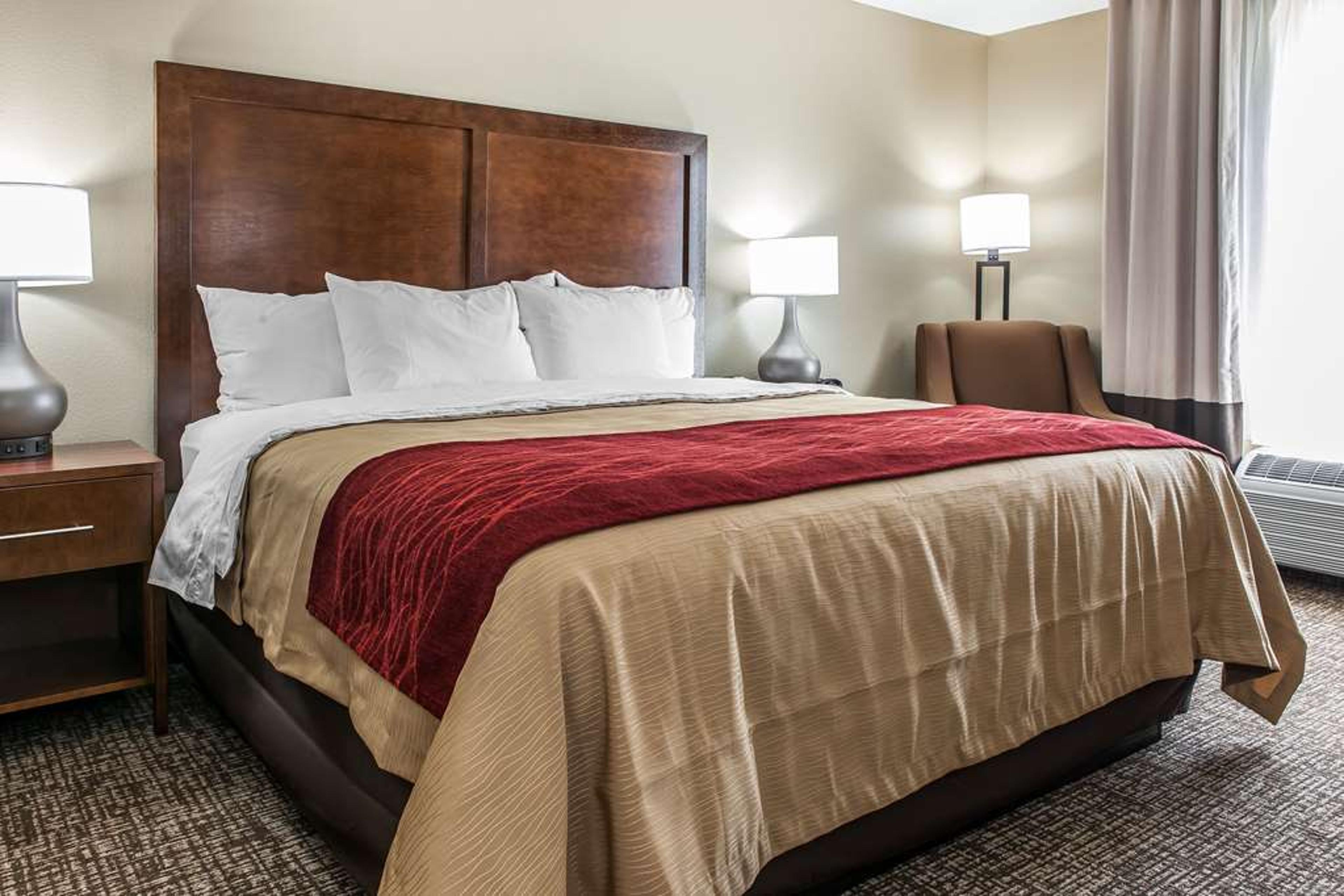 COMFORT INN AND SUITES MOUNT STERLI