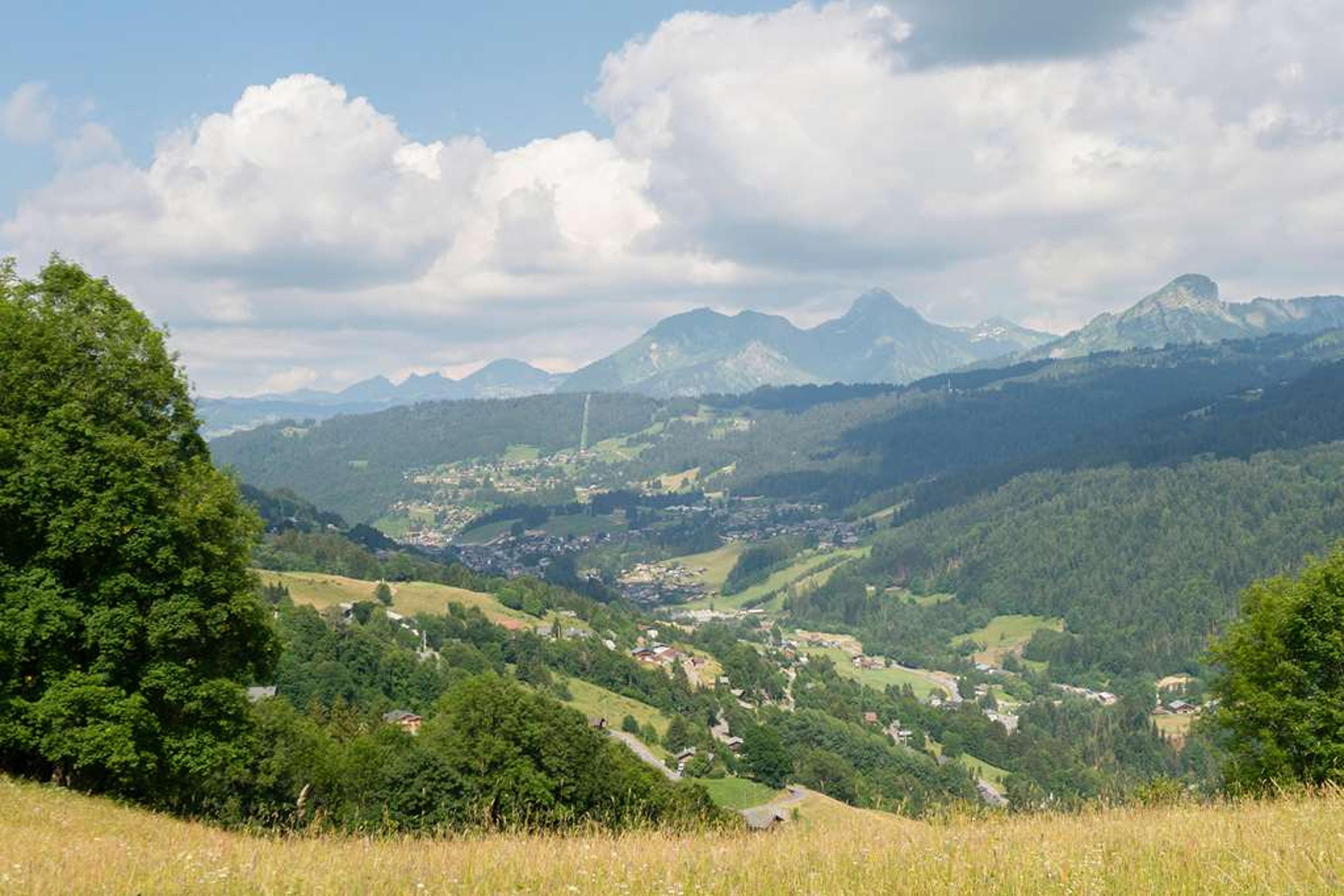 OGRELAIS LA MARMOTTE