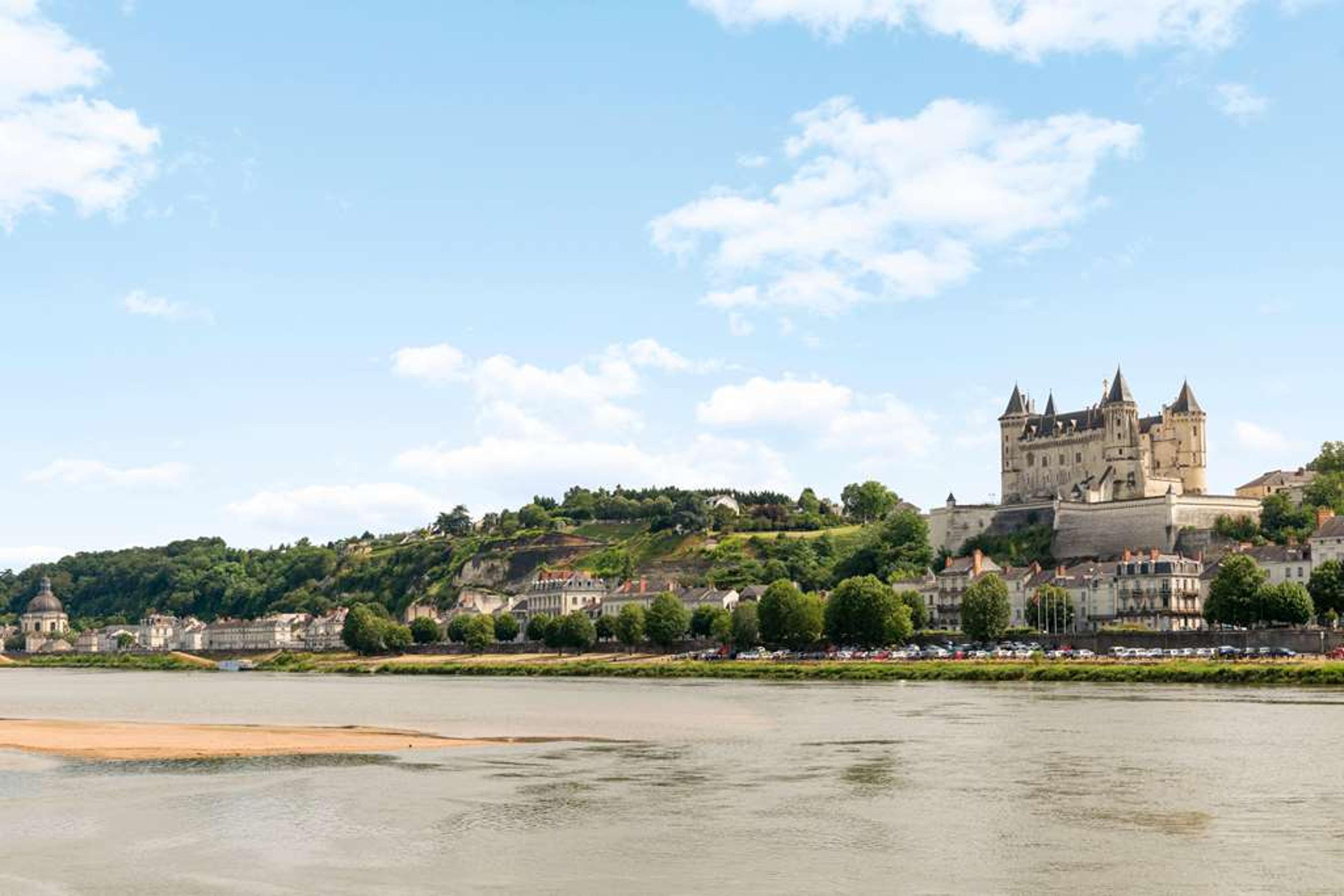 OG DOMAINE DE PRESLE SAUMUR