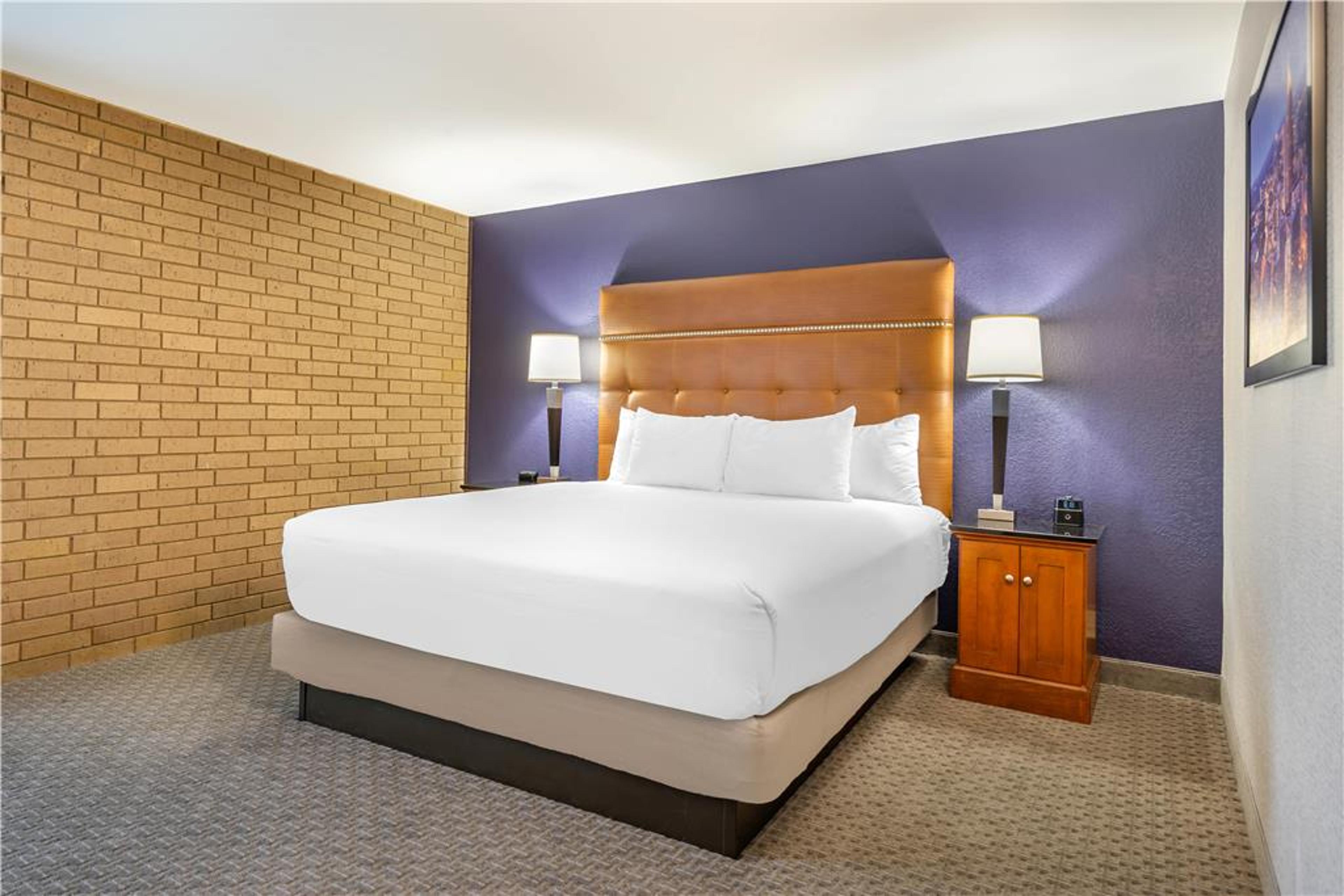 DRURY INN AND SUITES ATLANTA MORROW