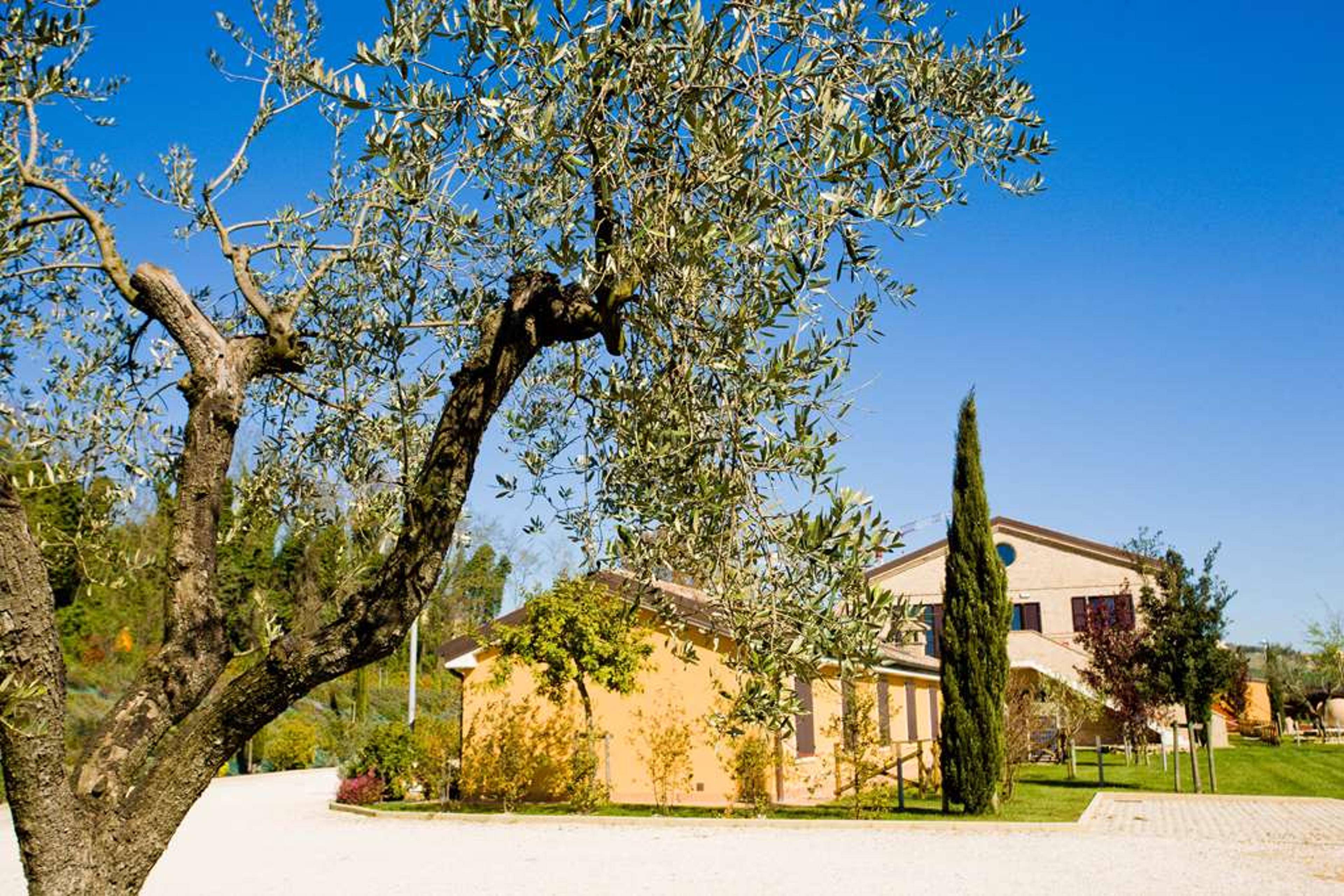 VILLA GENS CAMURIA