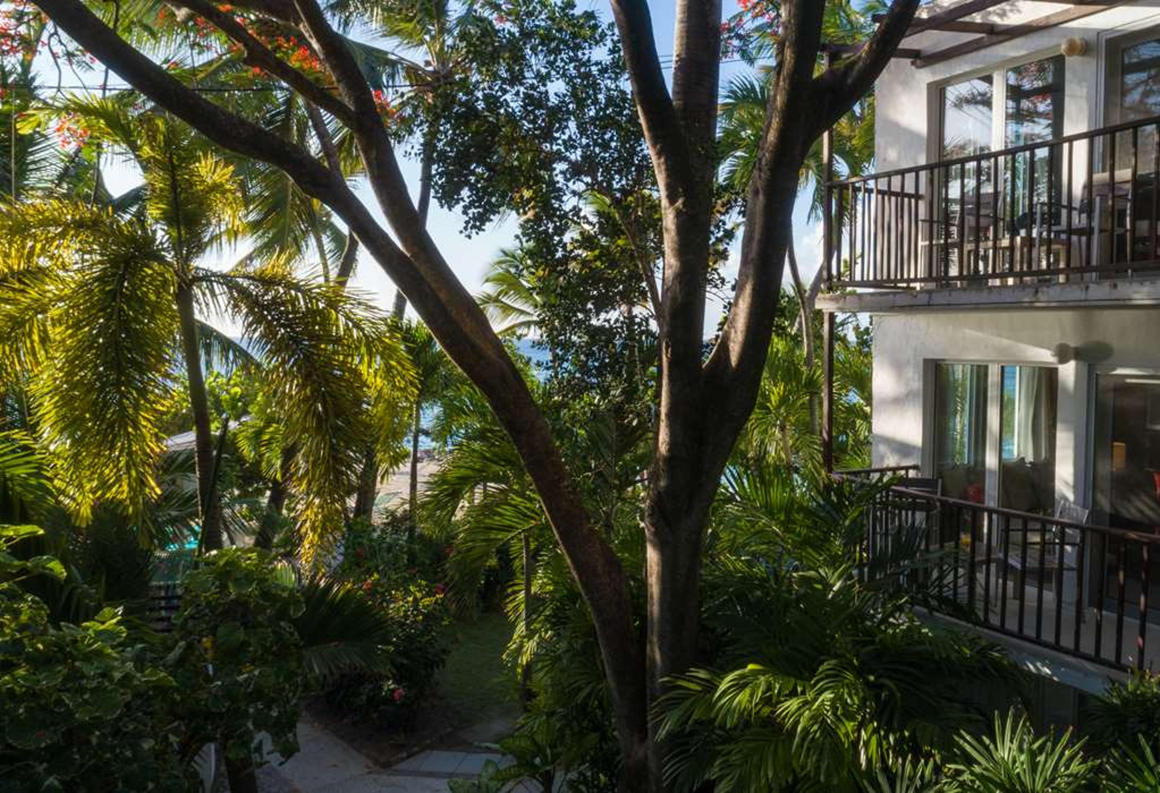 SIBONEY BEACH CLUB