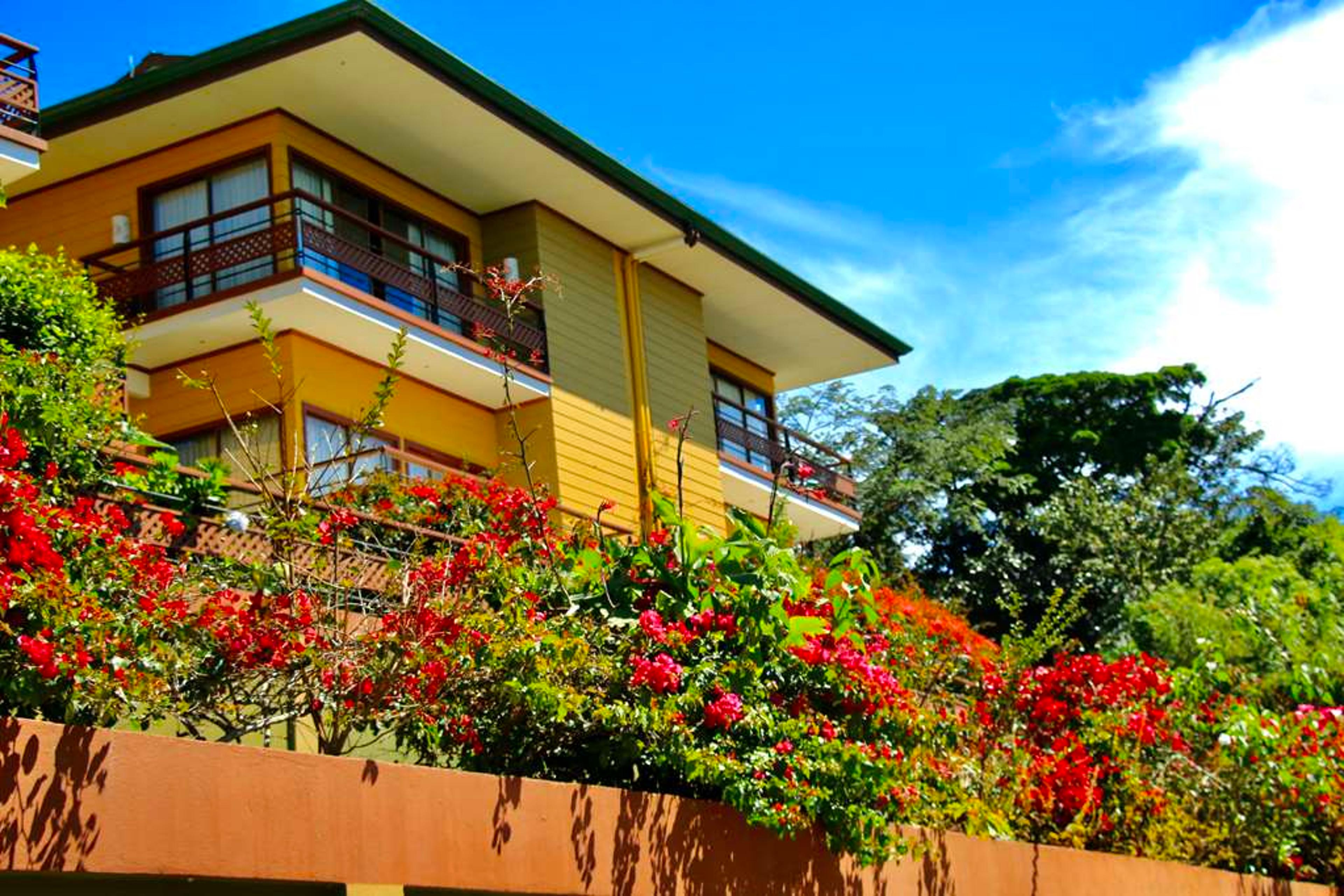 HOTEL FICUS SUNSET SUITES