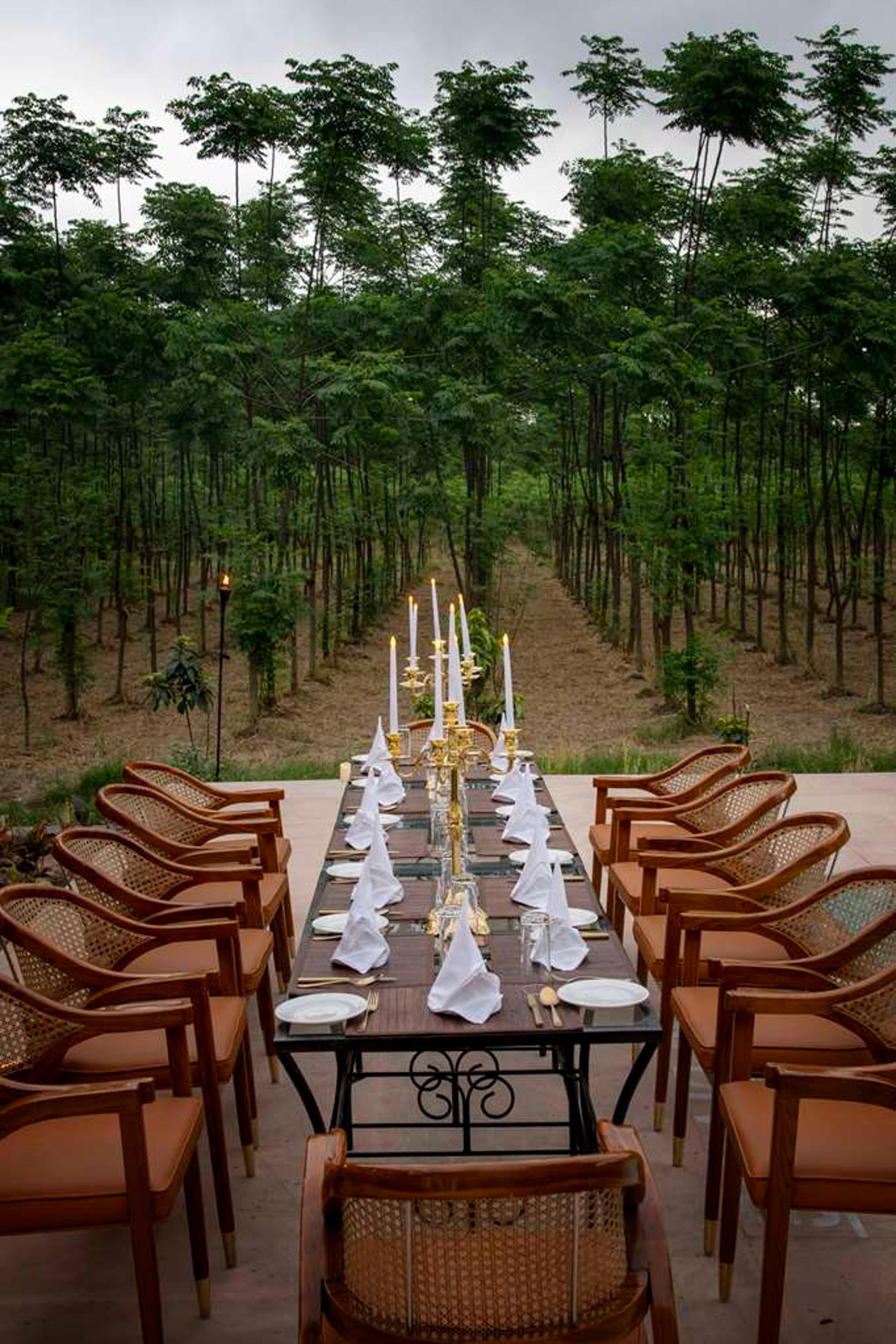 Aalia Jungle Retreat and Spa