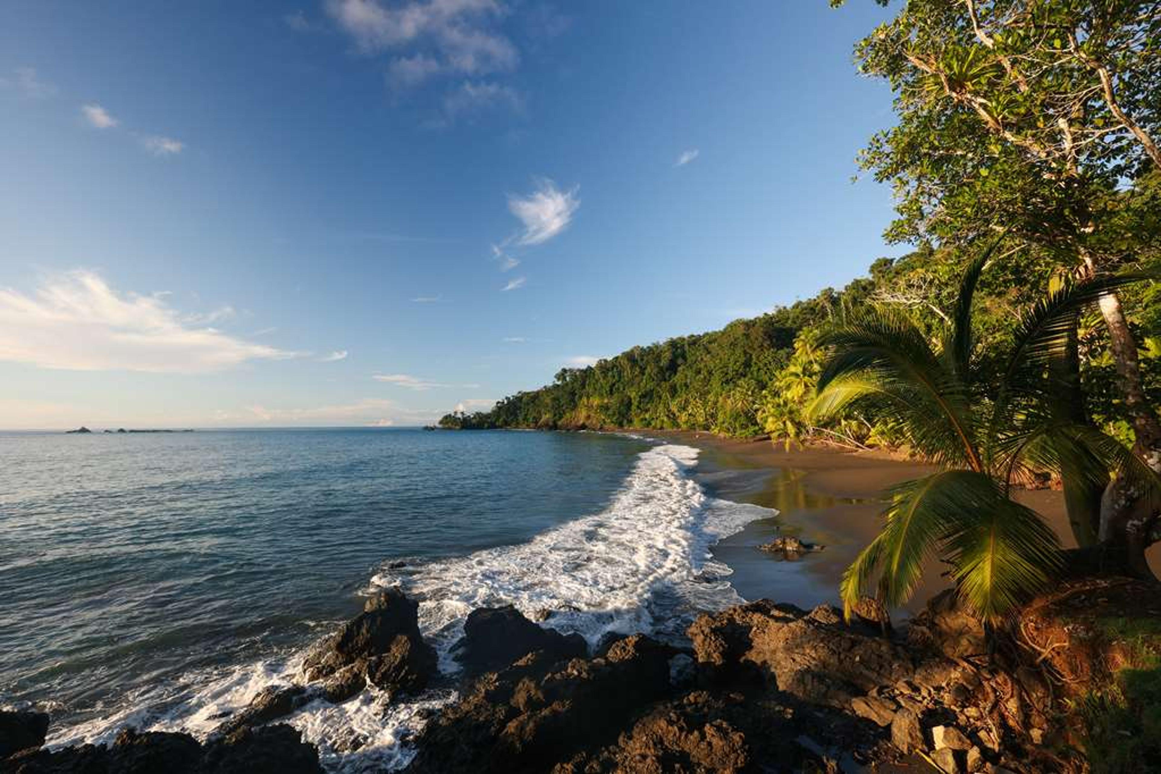 Corcovado Wilderness Lodge