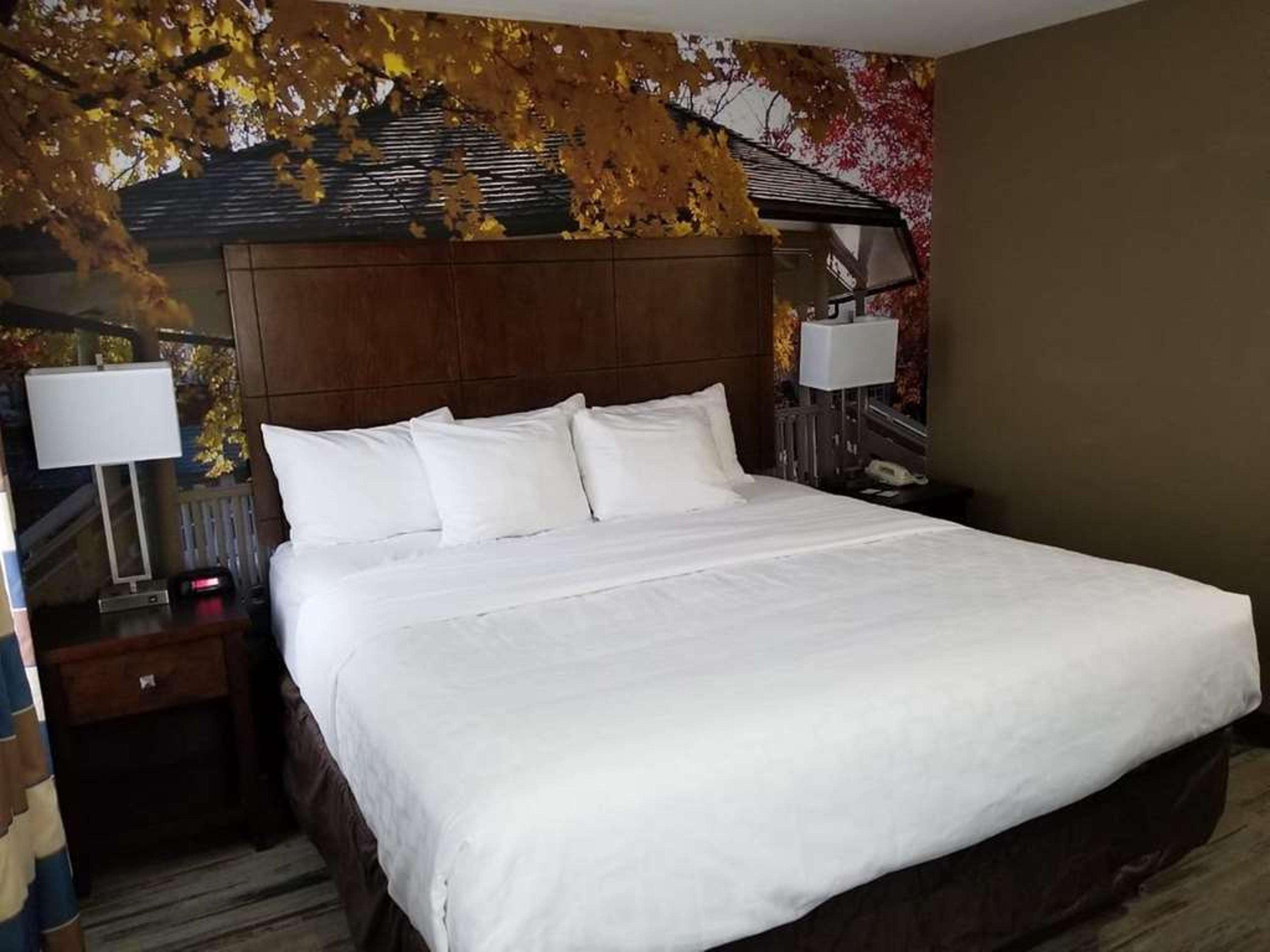SureStay Plus by Best Western Corydon