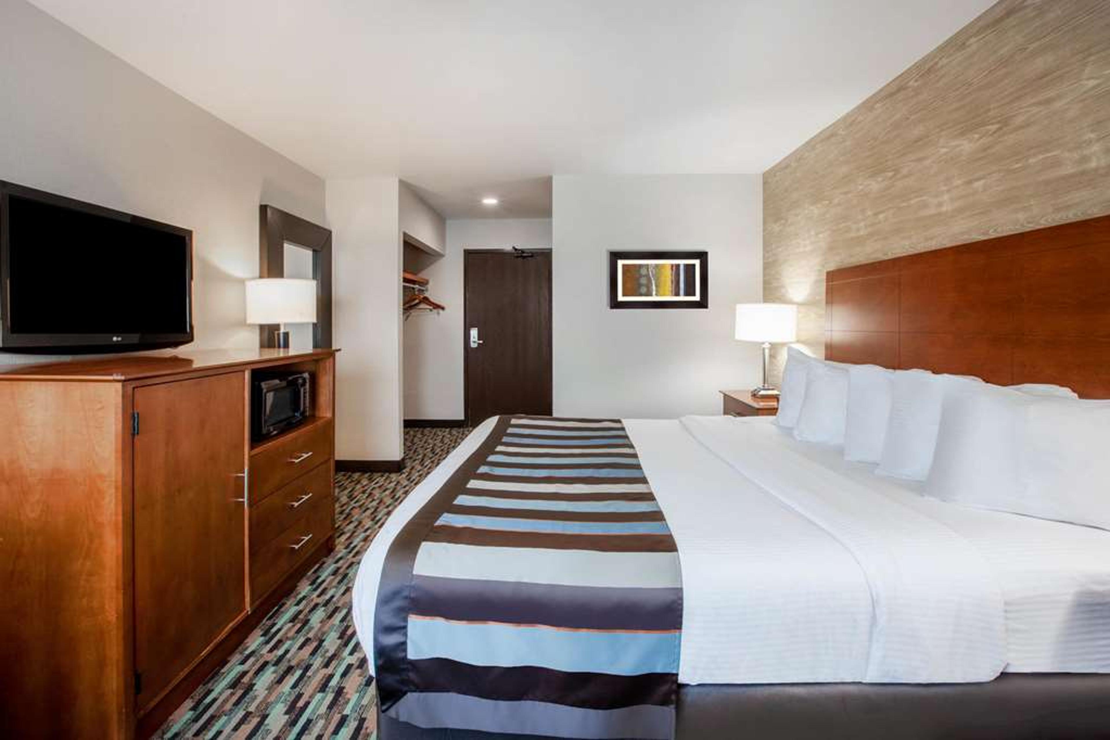 WINGATE BY WYNDHAM DETROIT METRO AI