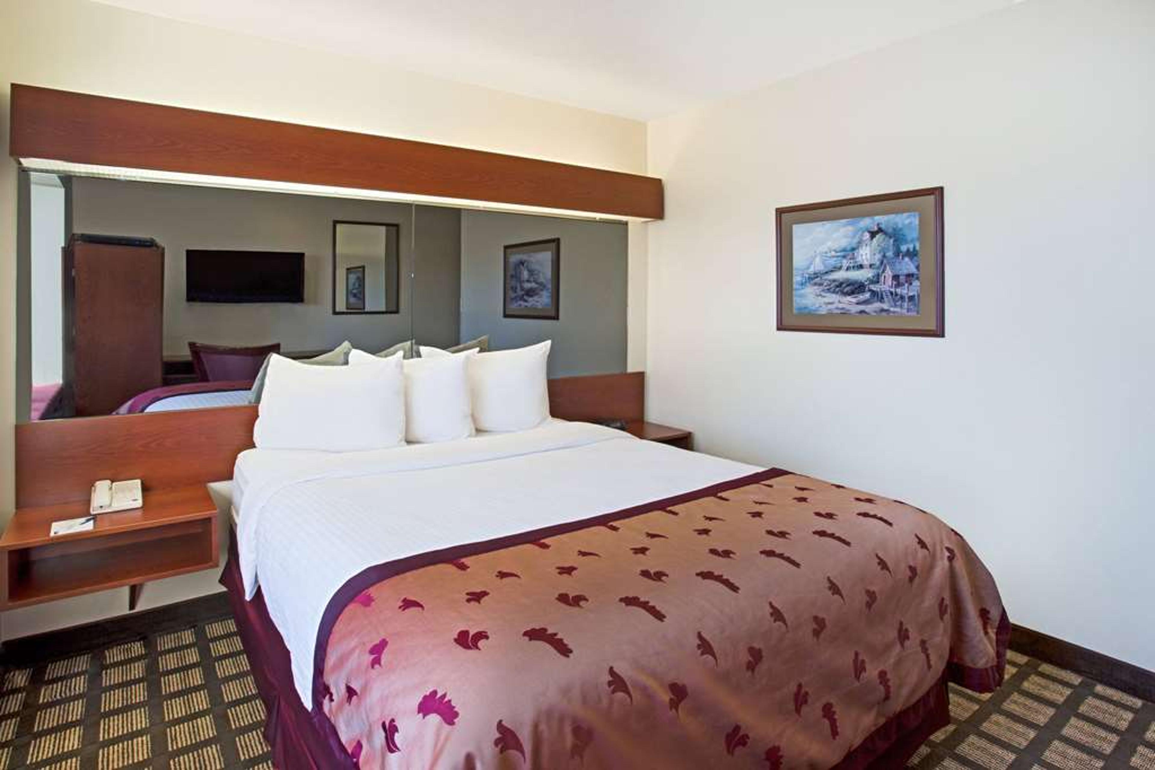 MICROTEL INN & SUITES BY WYNDHAM HO