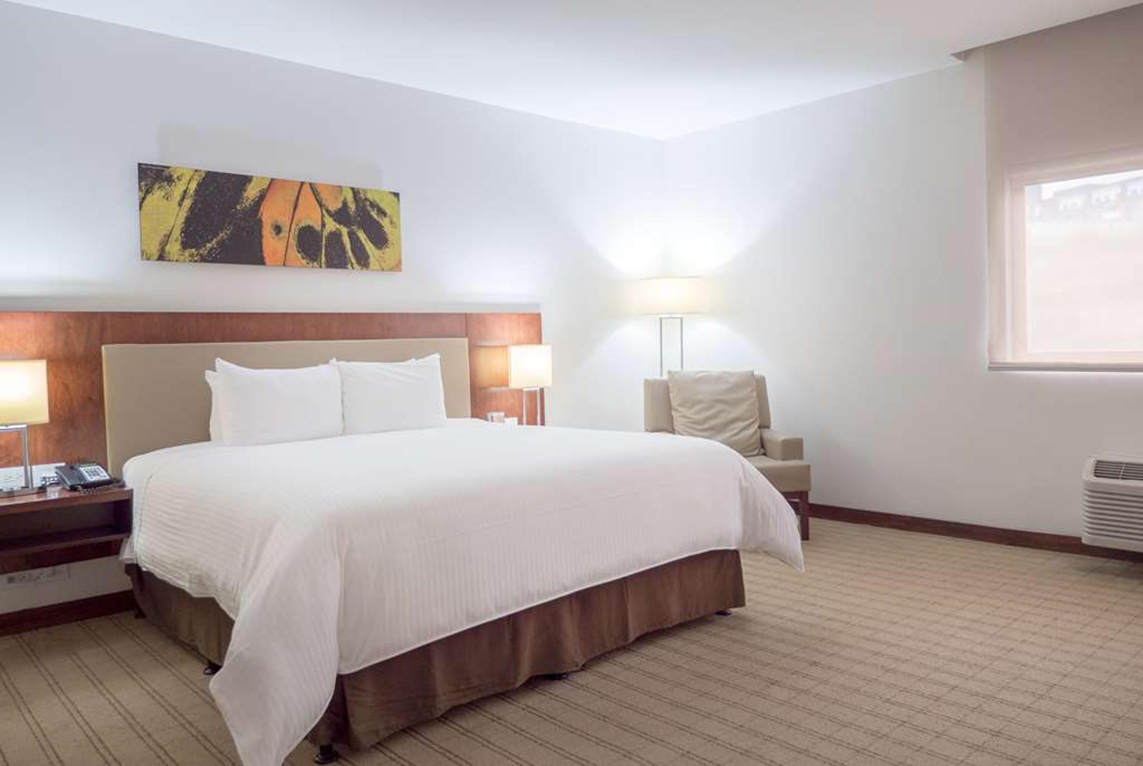 WYNDHAM GARDEN SAN JOSE ESCAZU