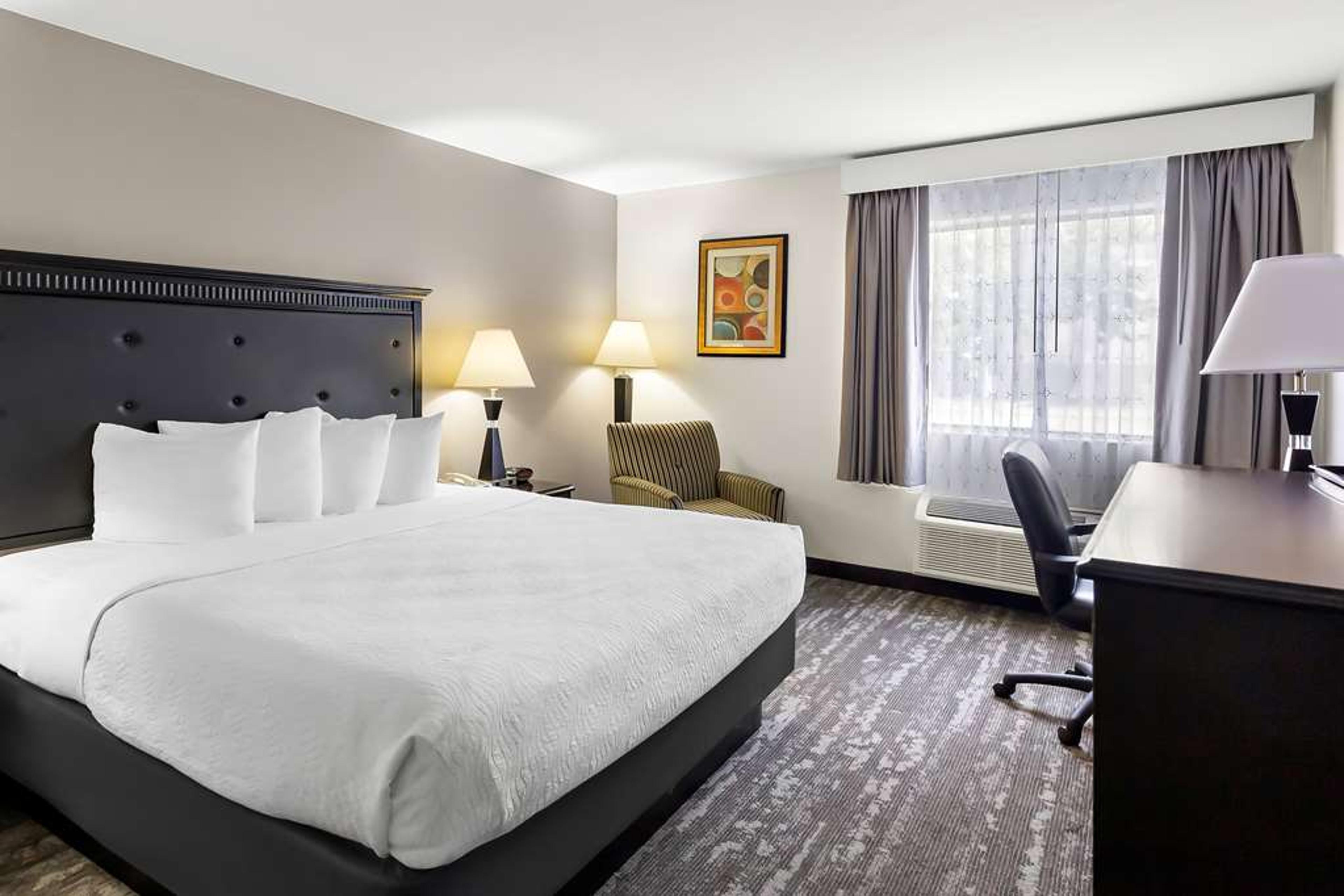 Best Western Saluki Inn