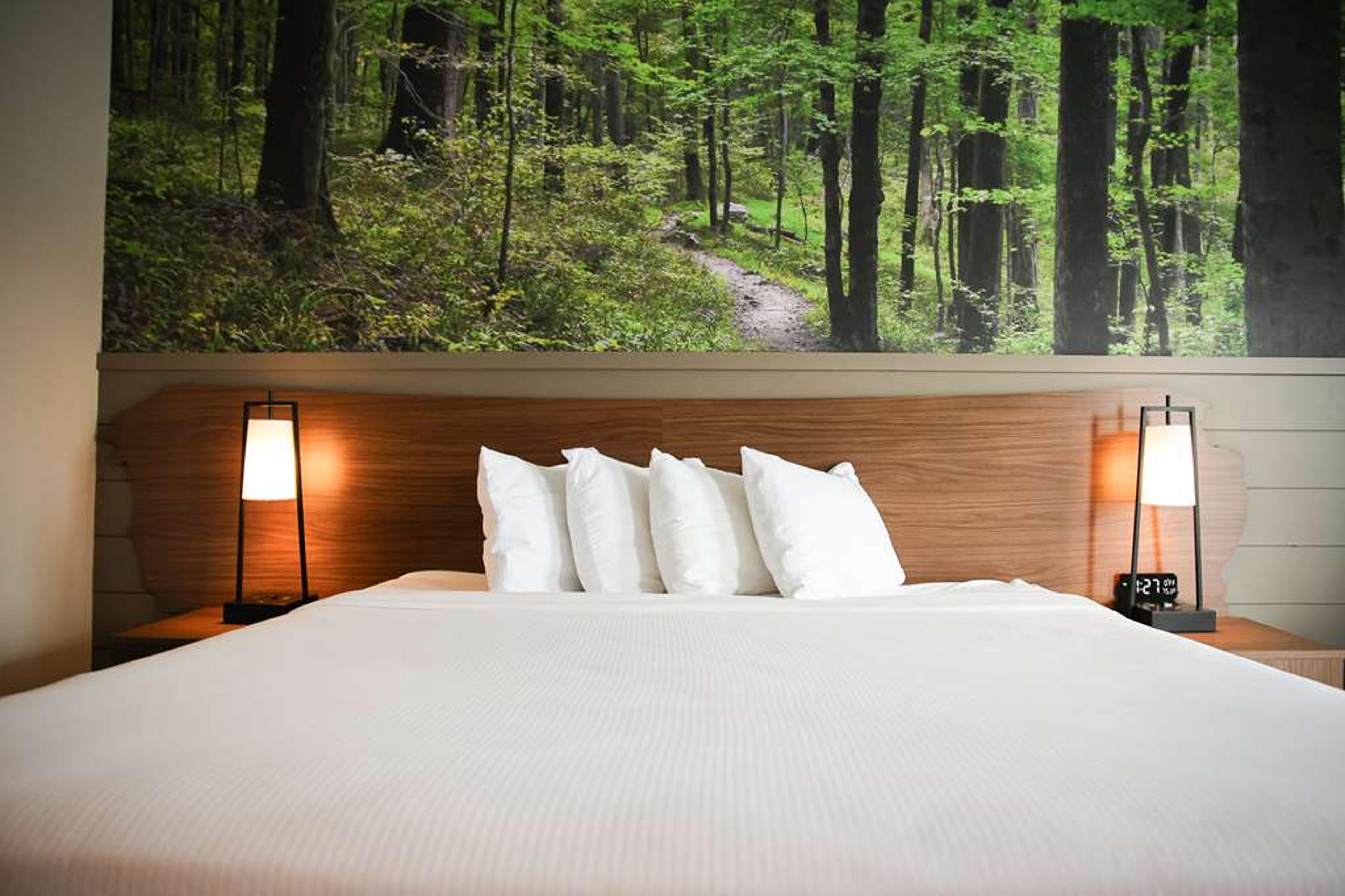 Best Western Tree City Inn
