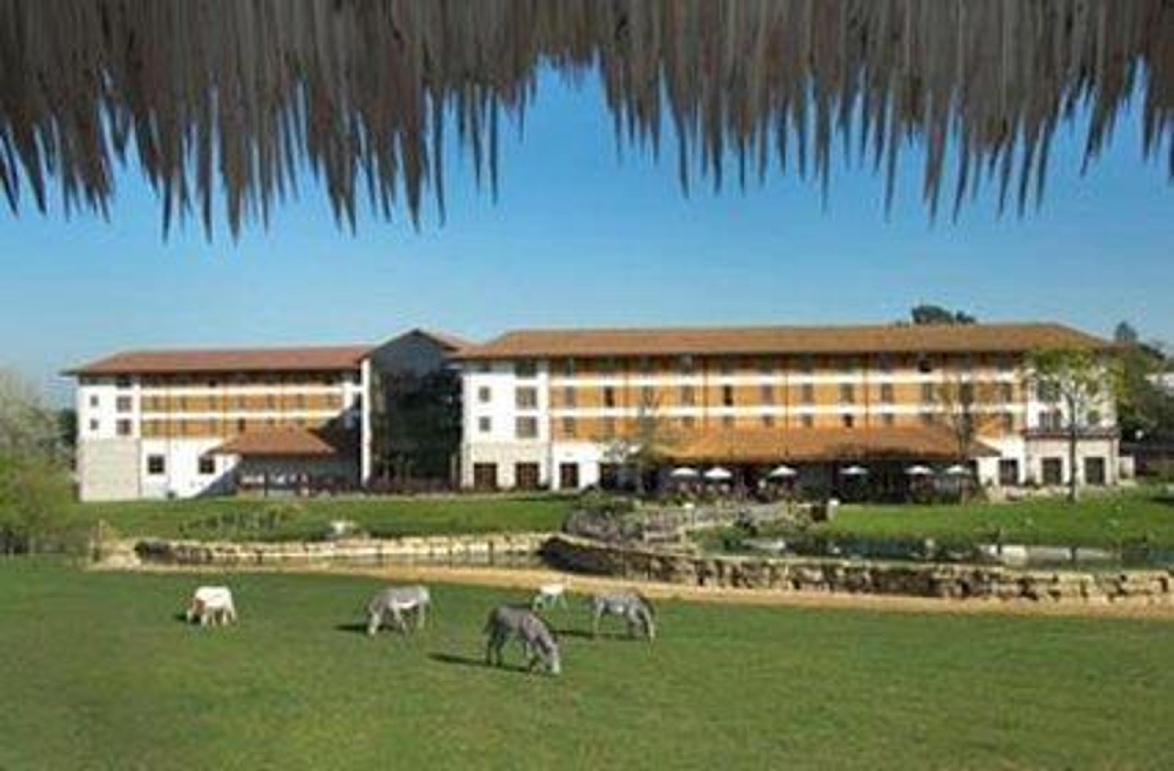 Hotel Photo 1