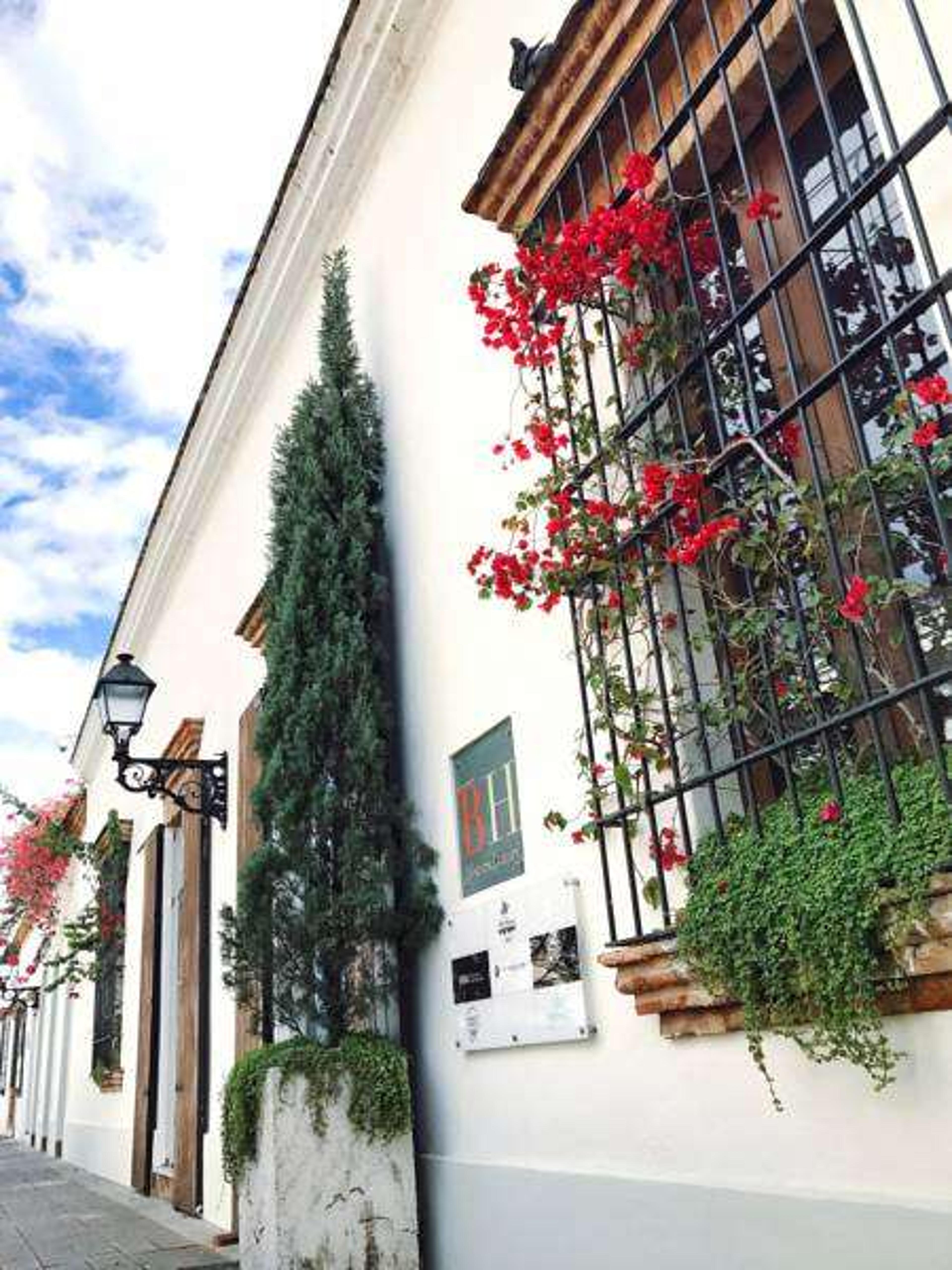 BILLINI HOTEL