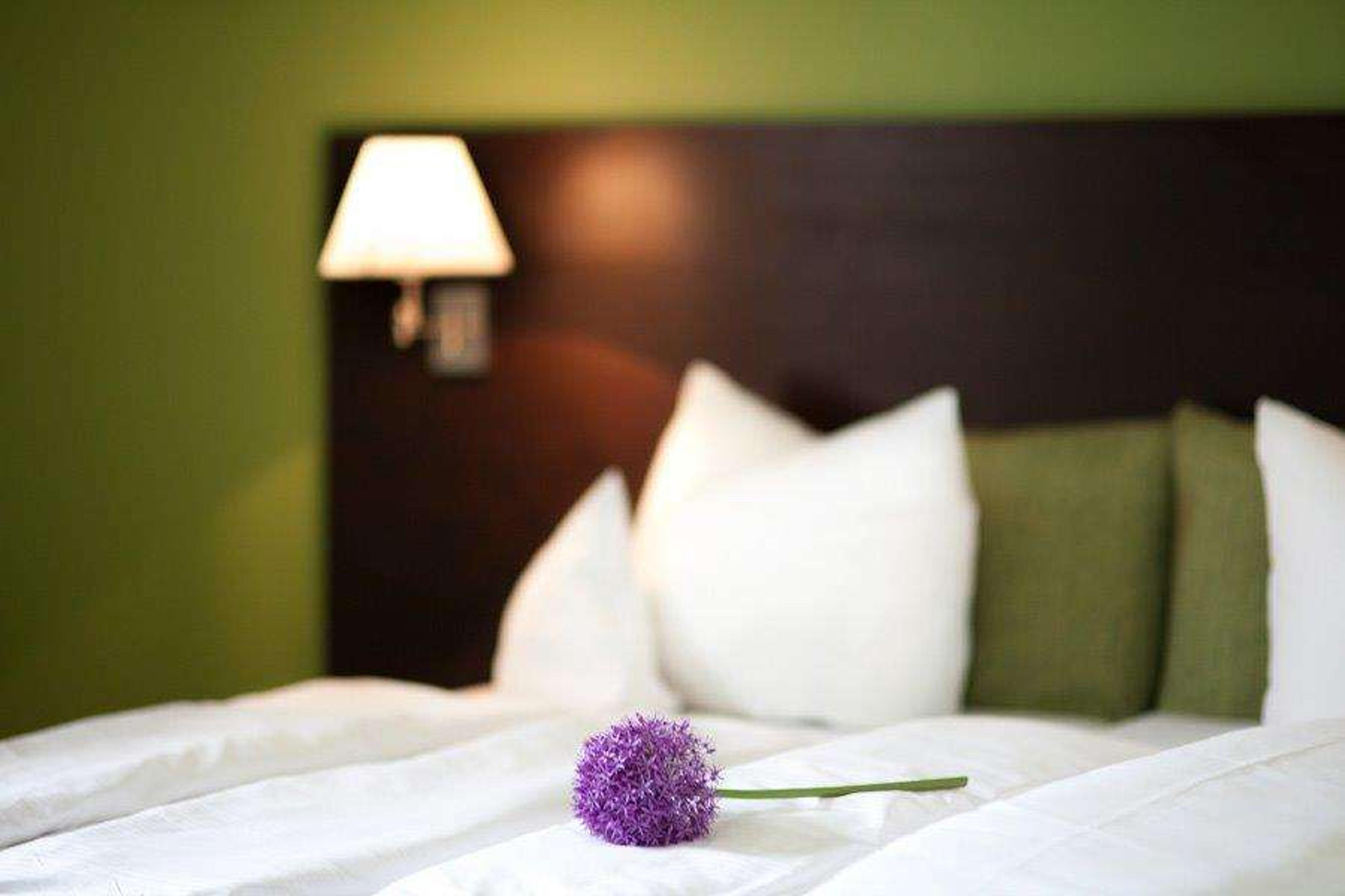 RELEXA HOTEL BAD STEBEN