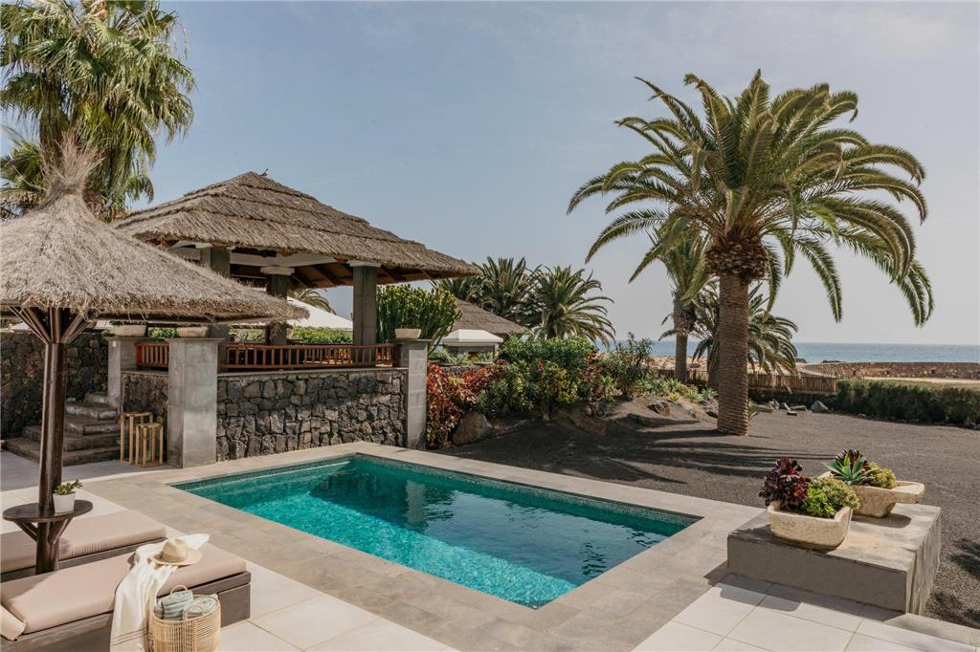 PARADISUS BY MELIA SALINAS LANZAROT