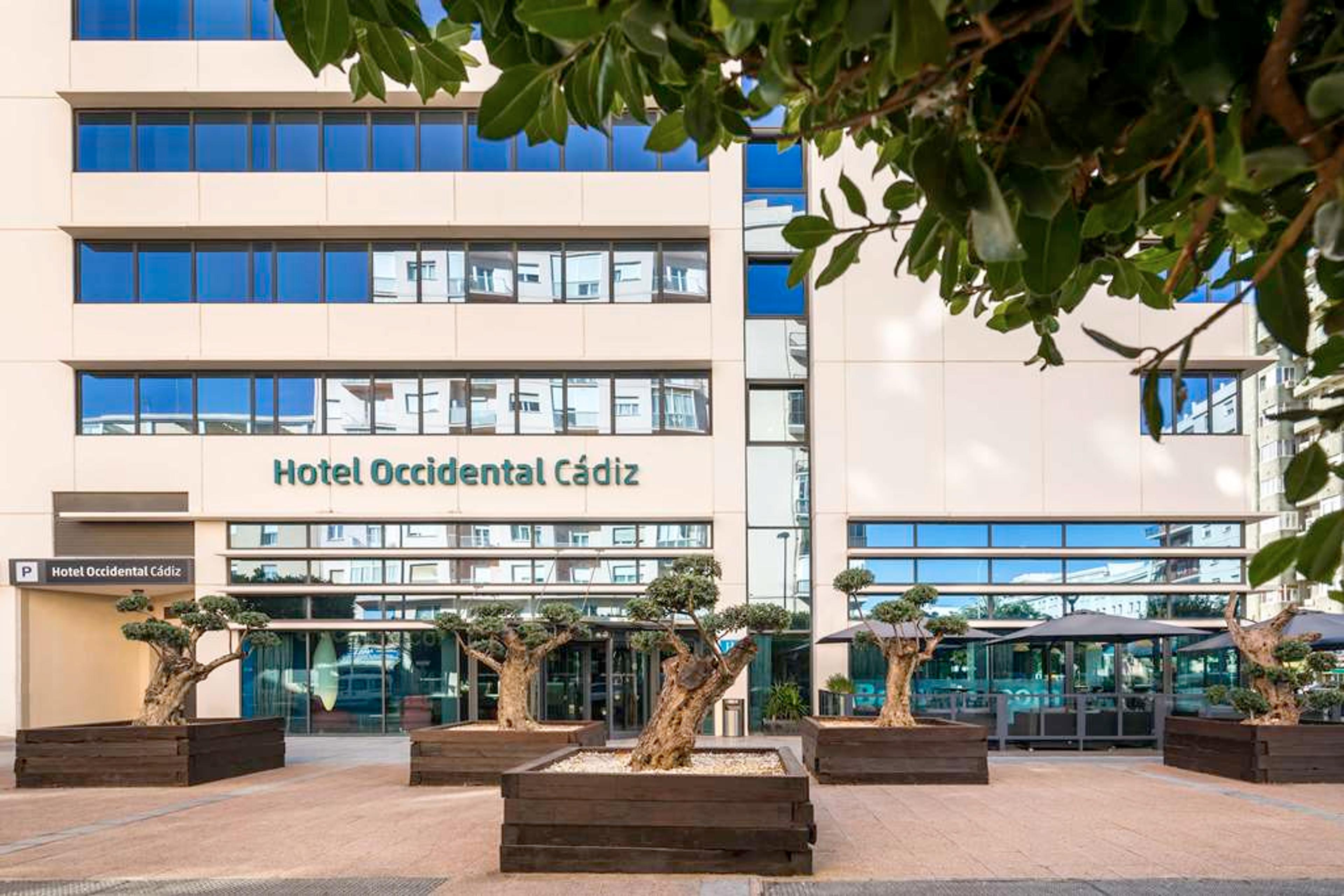 OCCIDENTAL C DIZ