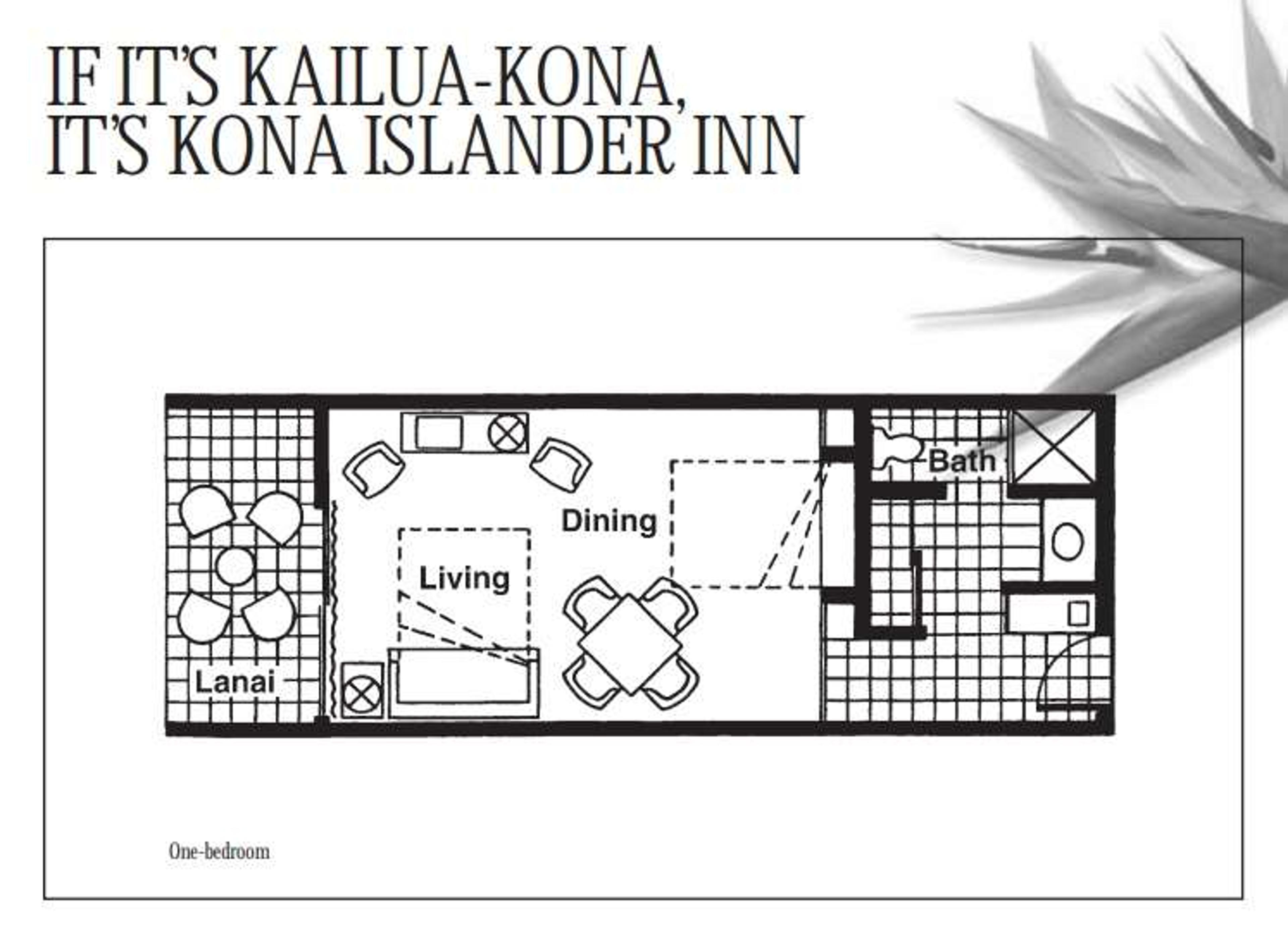 KONA ISLANDER