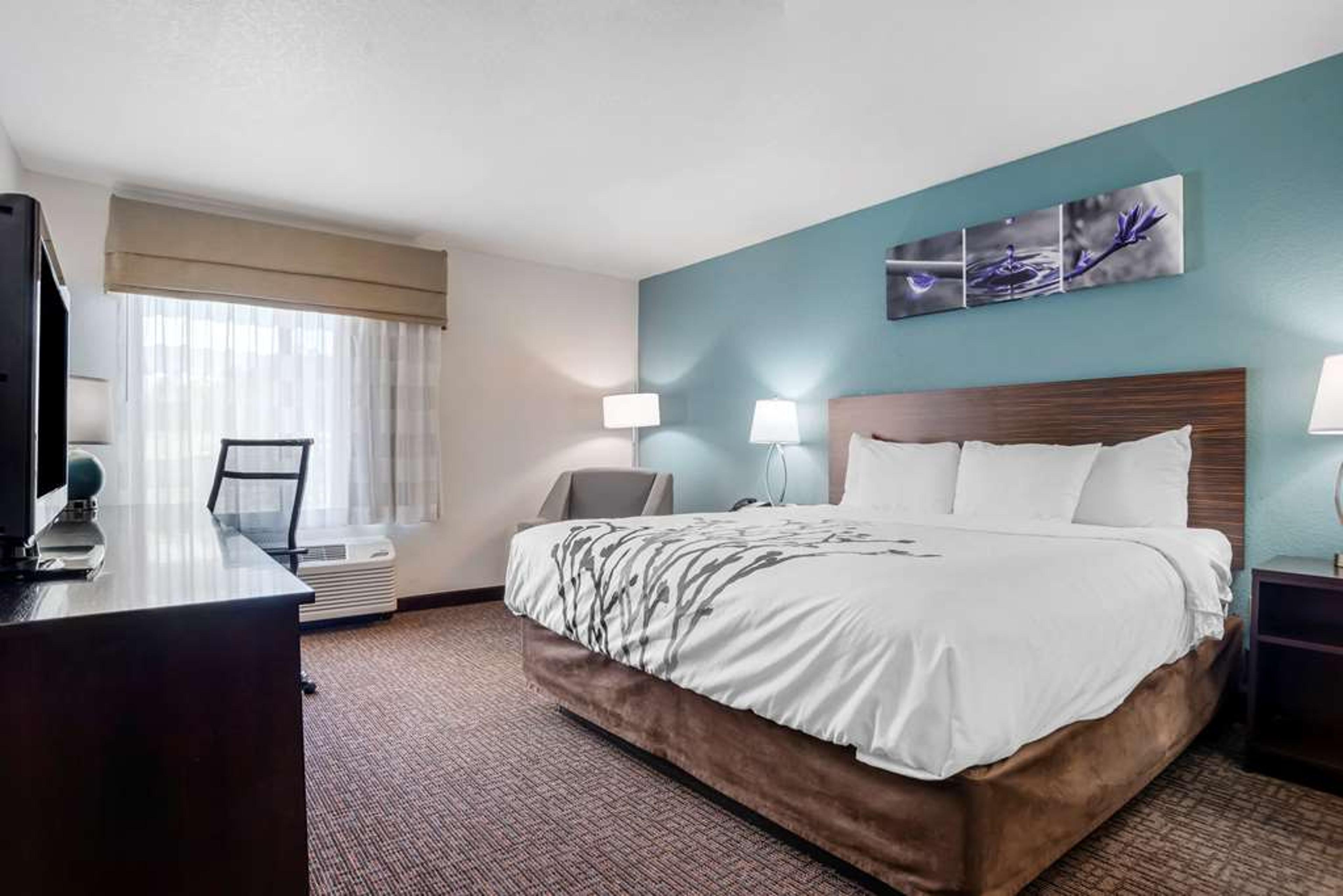 SLEEP INN AND SUITES AUBURN CAMPUS