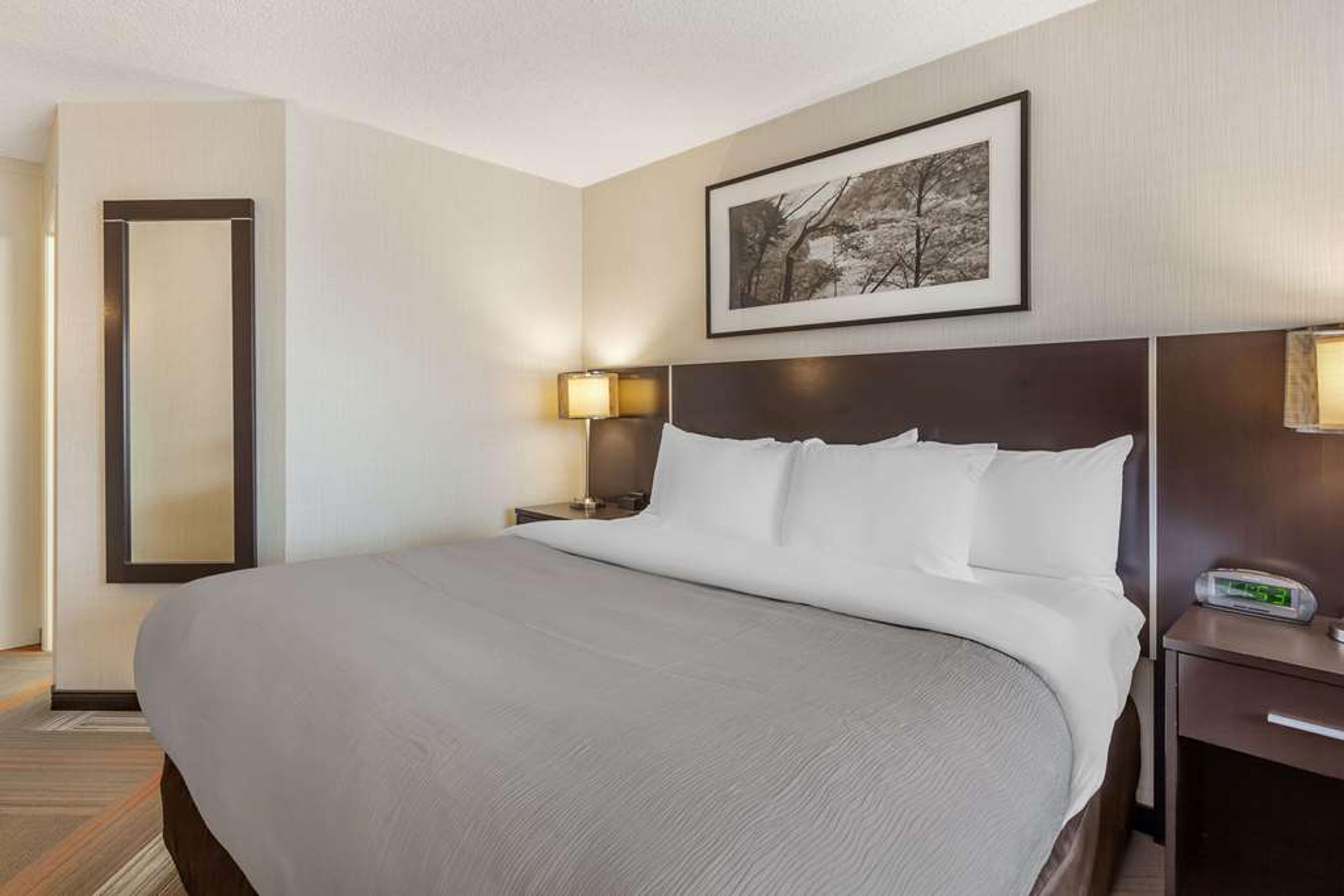 QUALITY HOTEL