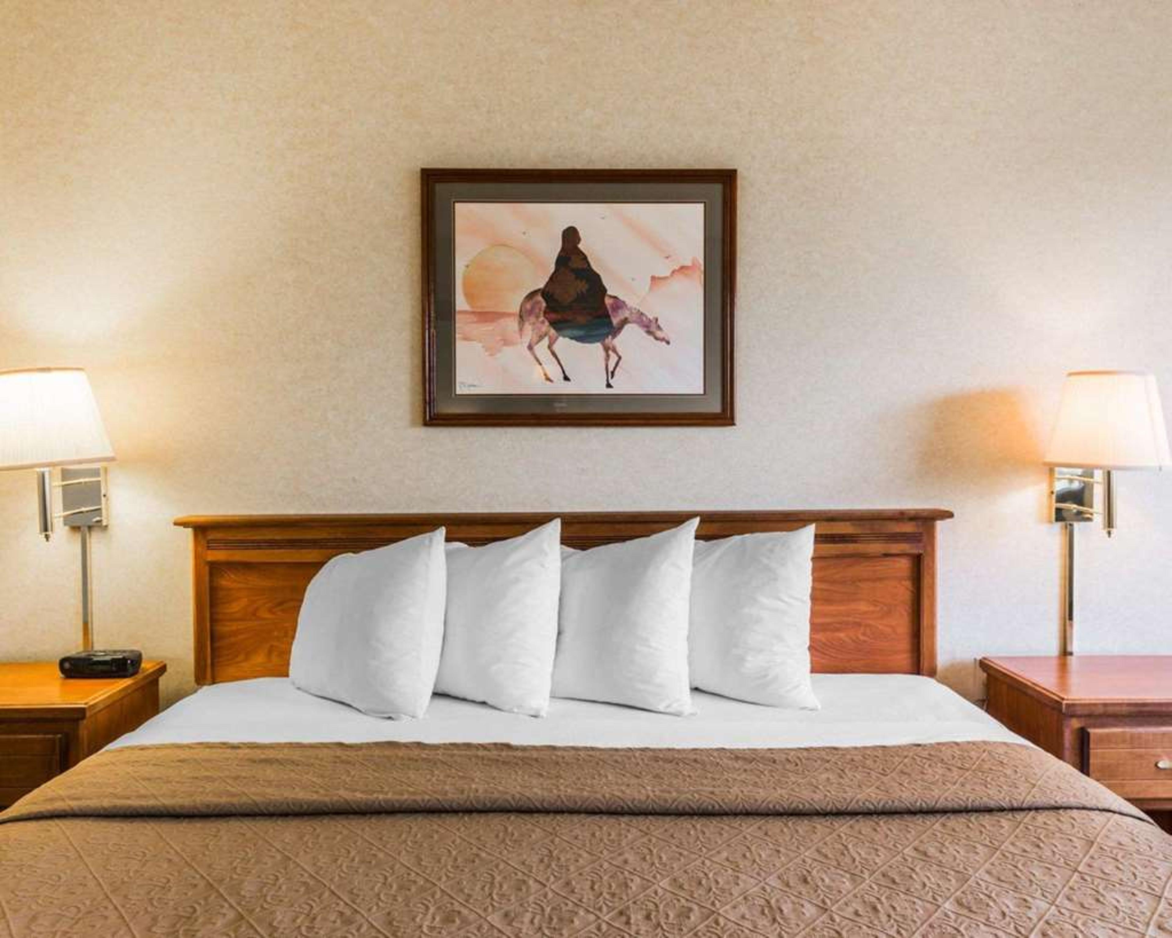 QUALITY INN AND SUITES MONTROSE - B