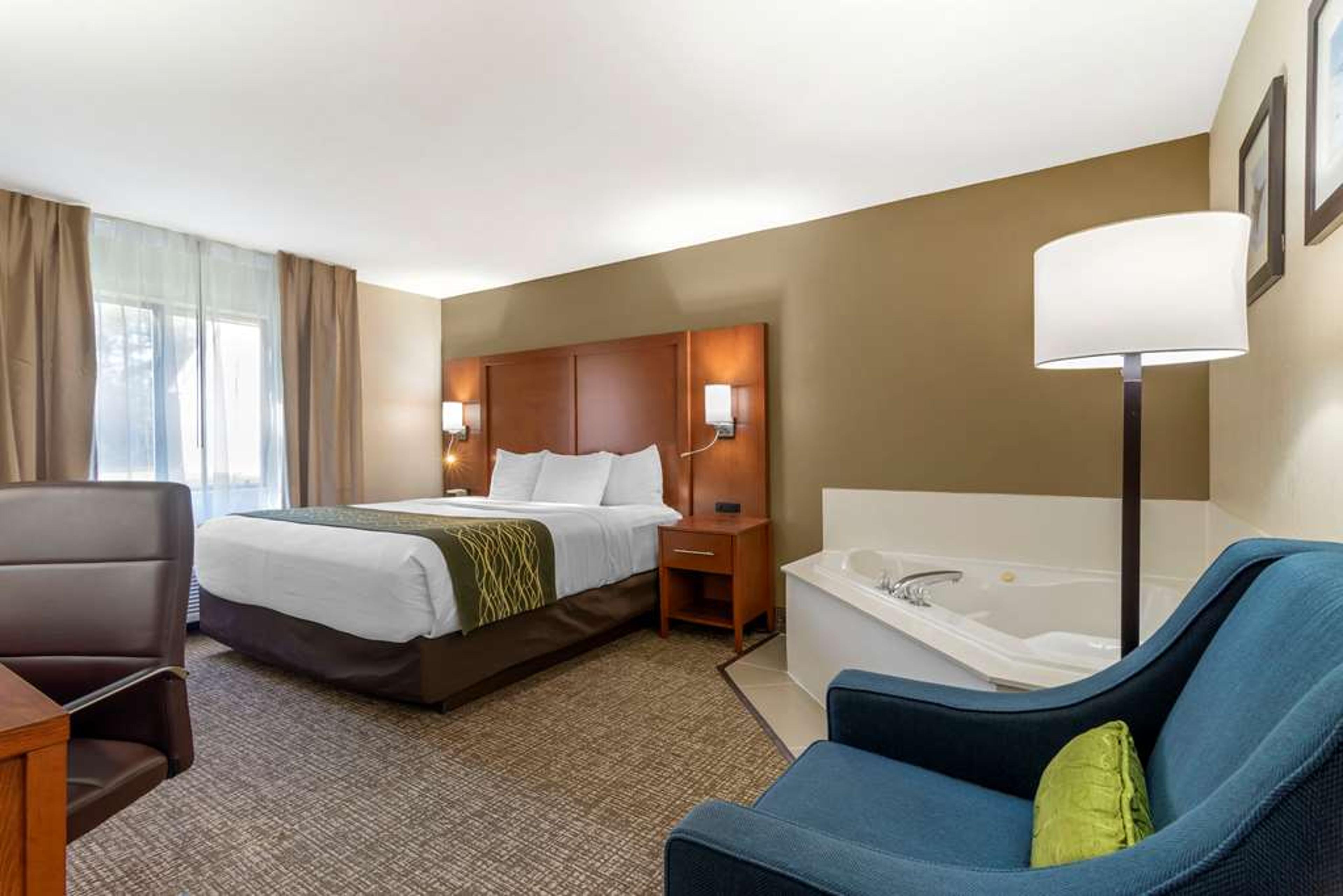COMFORT INN & SUITES - NEAR ROBINS