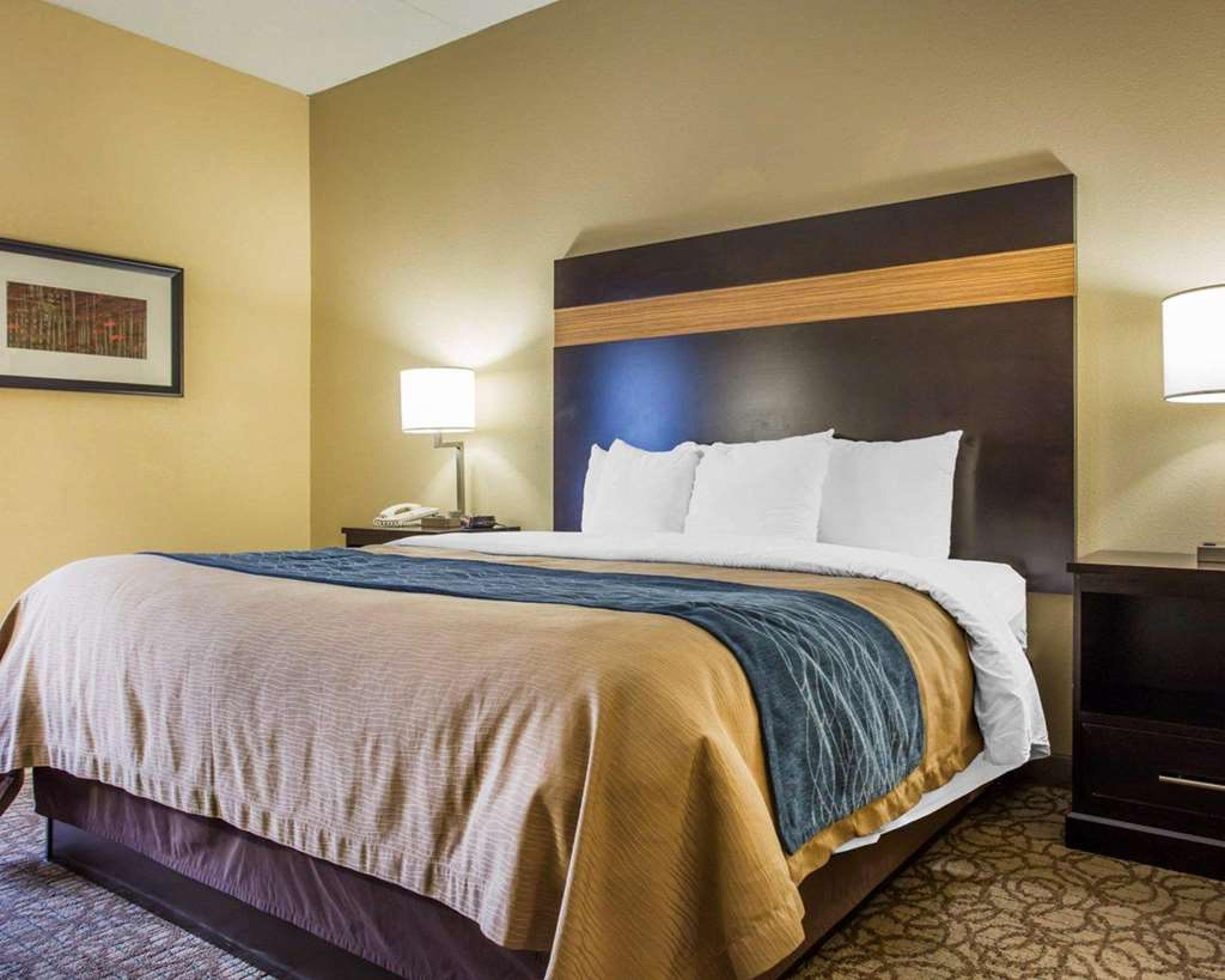 COMFORT INN AND SUITES AT STONE MOU