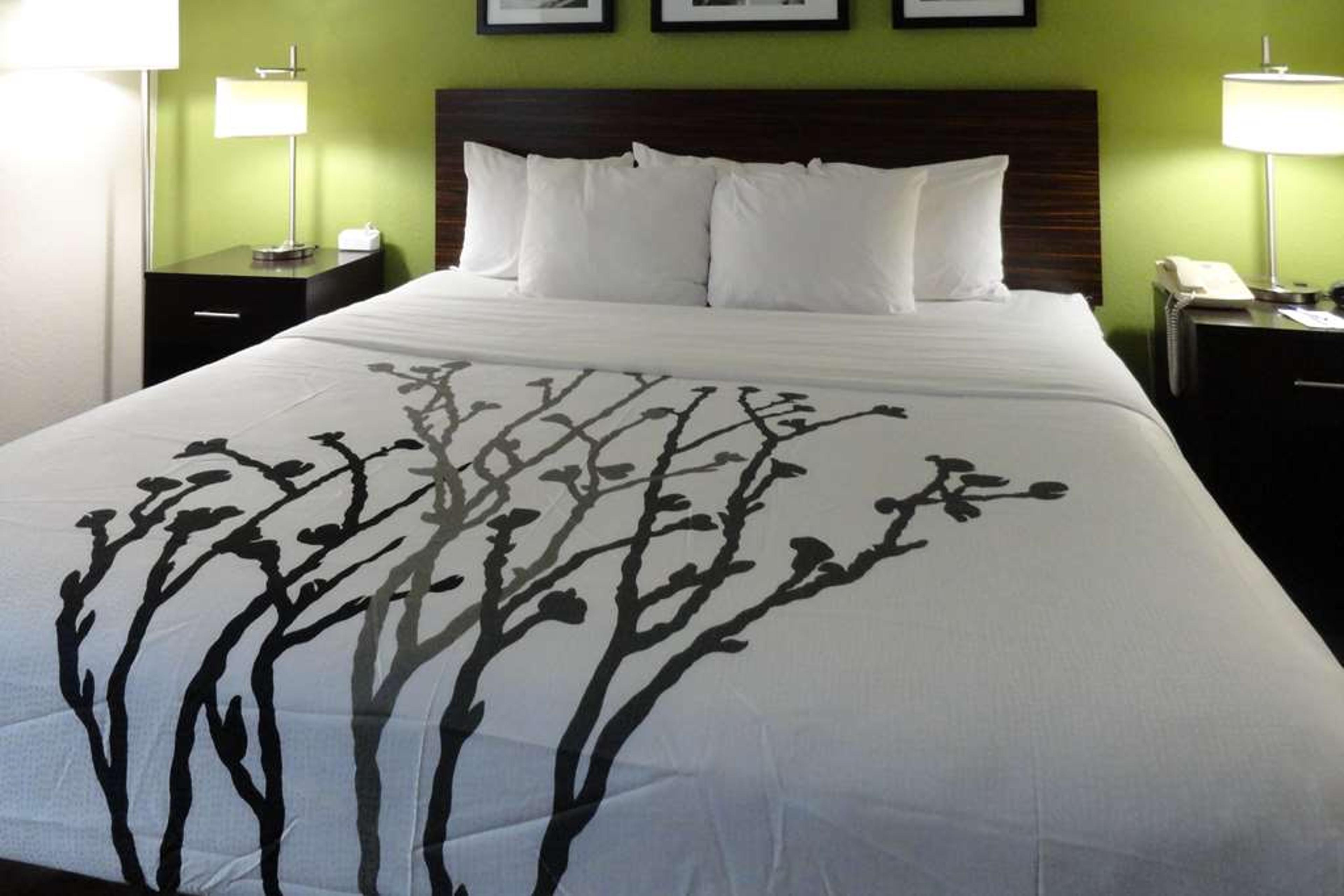 SLEEP INN AND SUITES COLUMBUS - STA