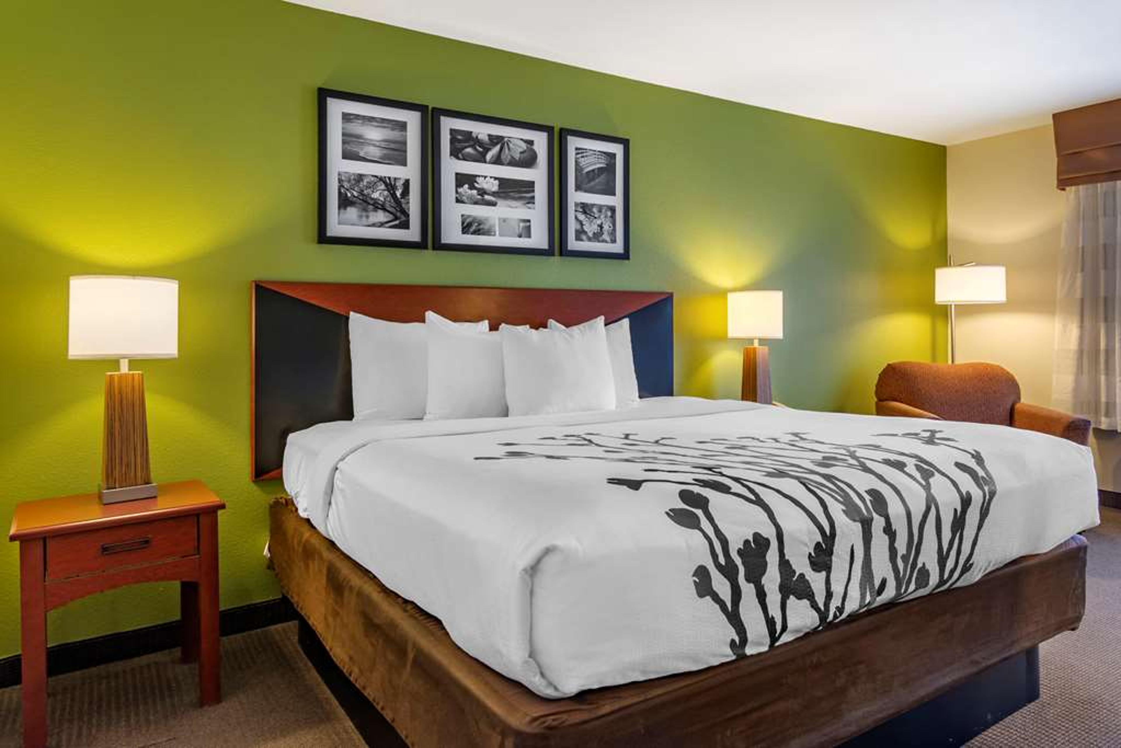 SLEEP INN AND SUITES STOCKBRIDGE AT