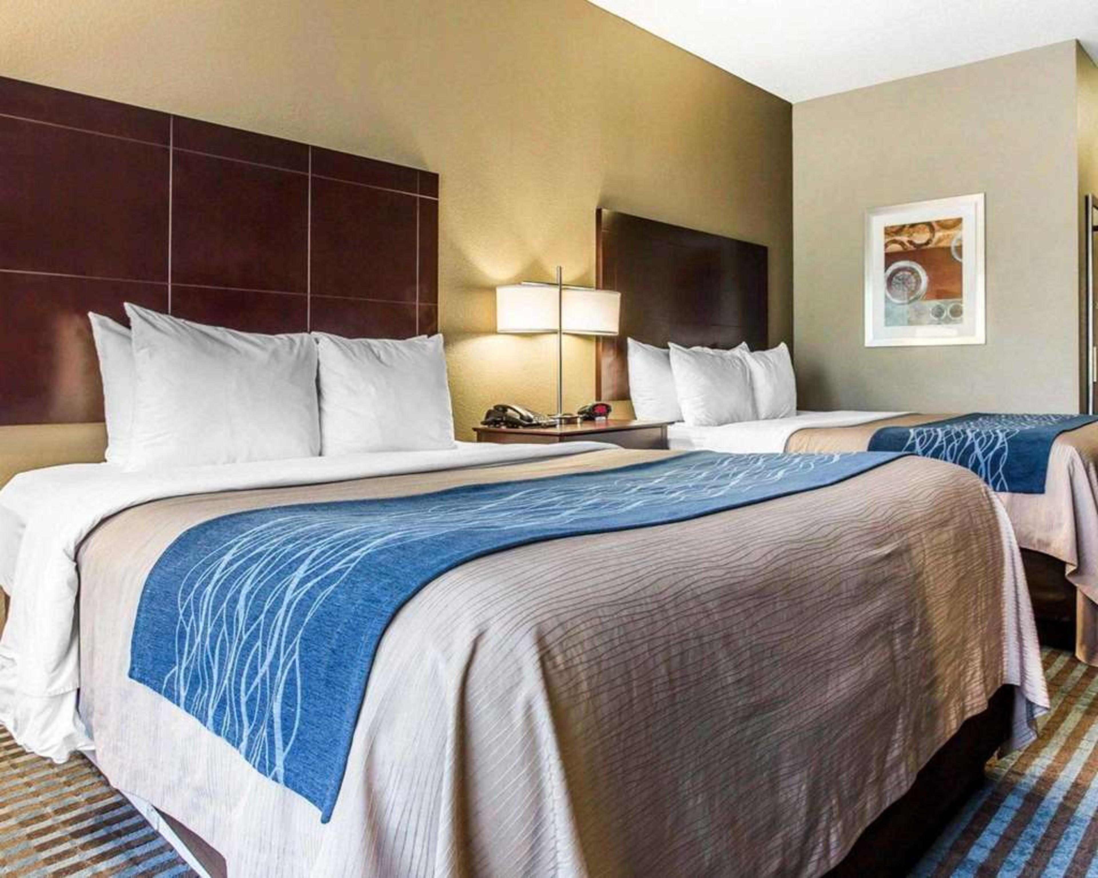 COMFORT INN AND SUITES SMYRNA