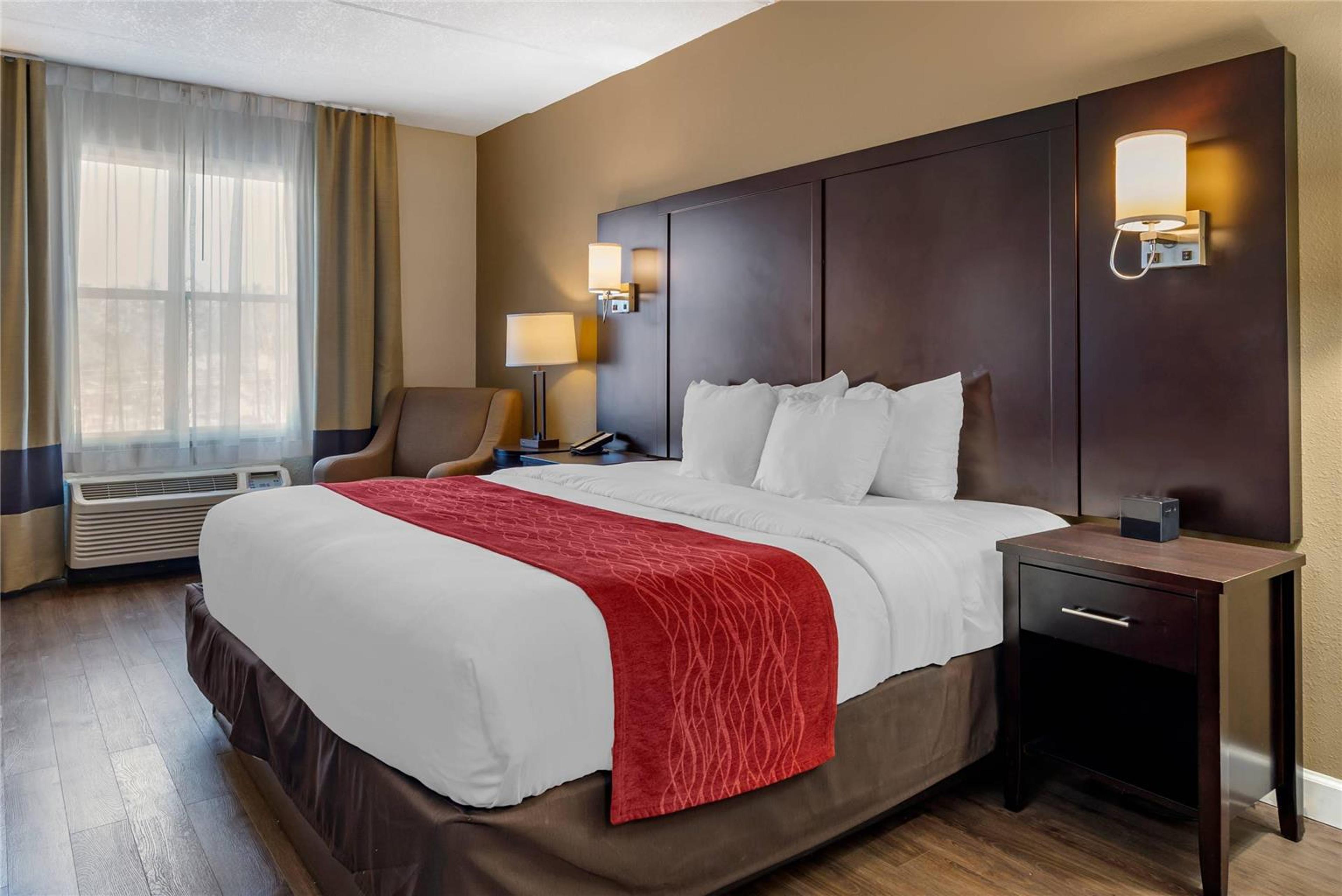 COMFORT INN AND SUITES LITHIA SPRIN