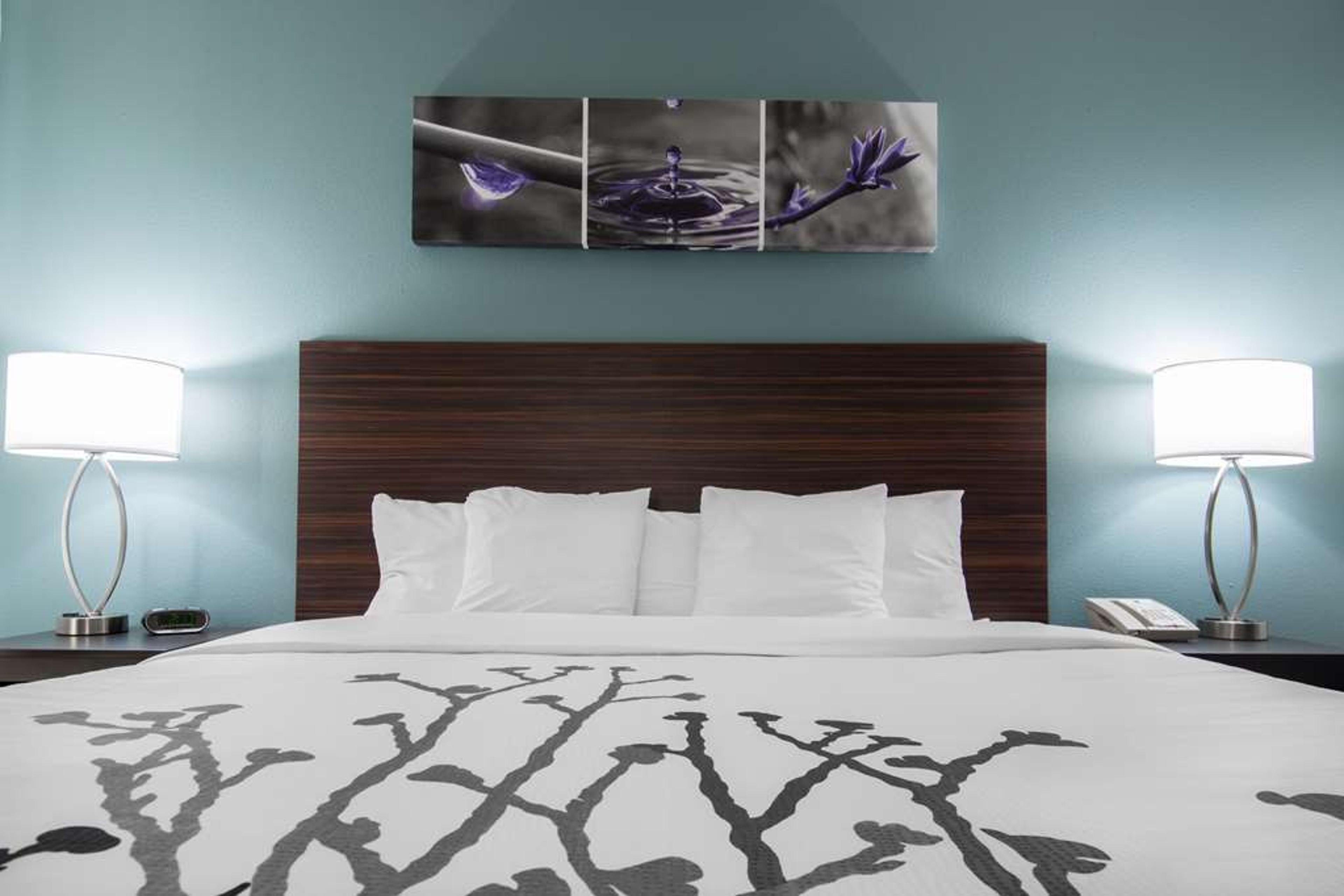 SLEEP INN AND SUITES WASHINGTON NEA