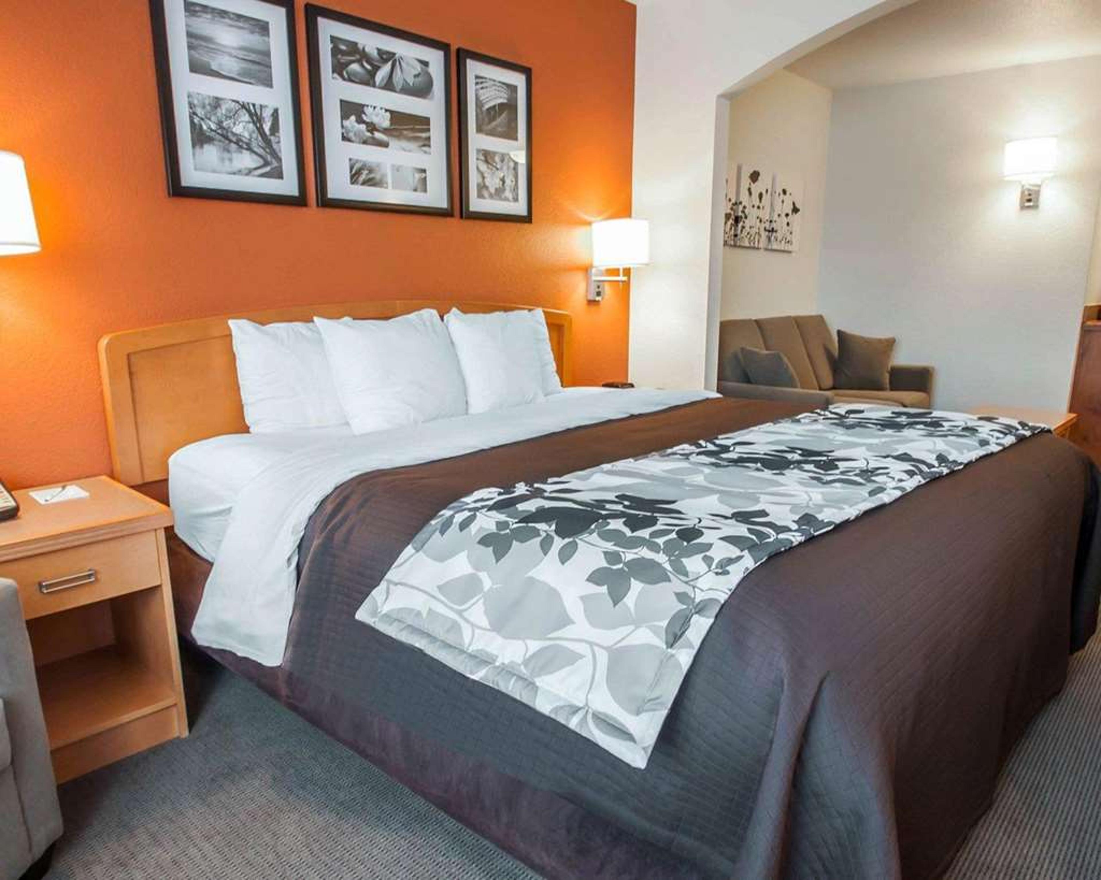 SLEEP INN AND SUITES LAKE OF THE OZ