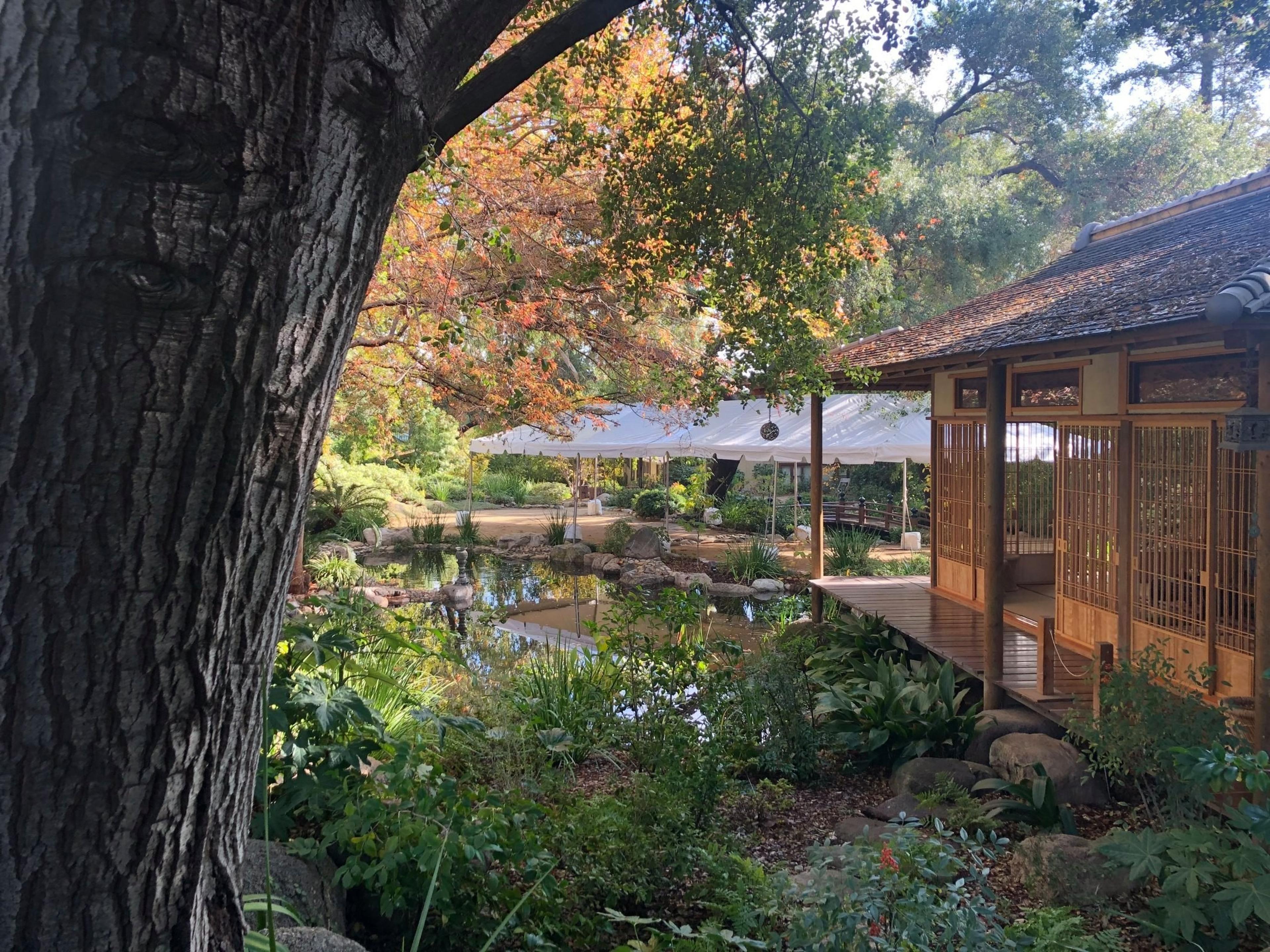 Storrier Stearns Japanese Gardens