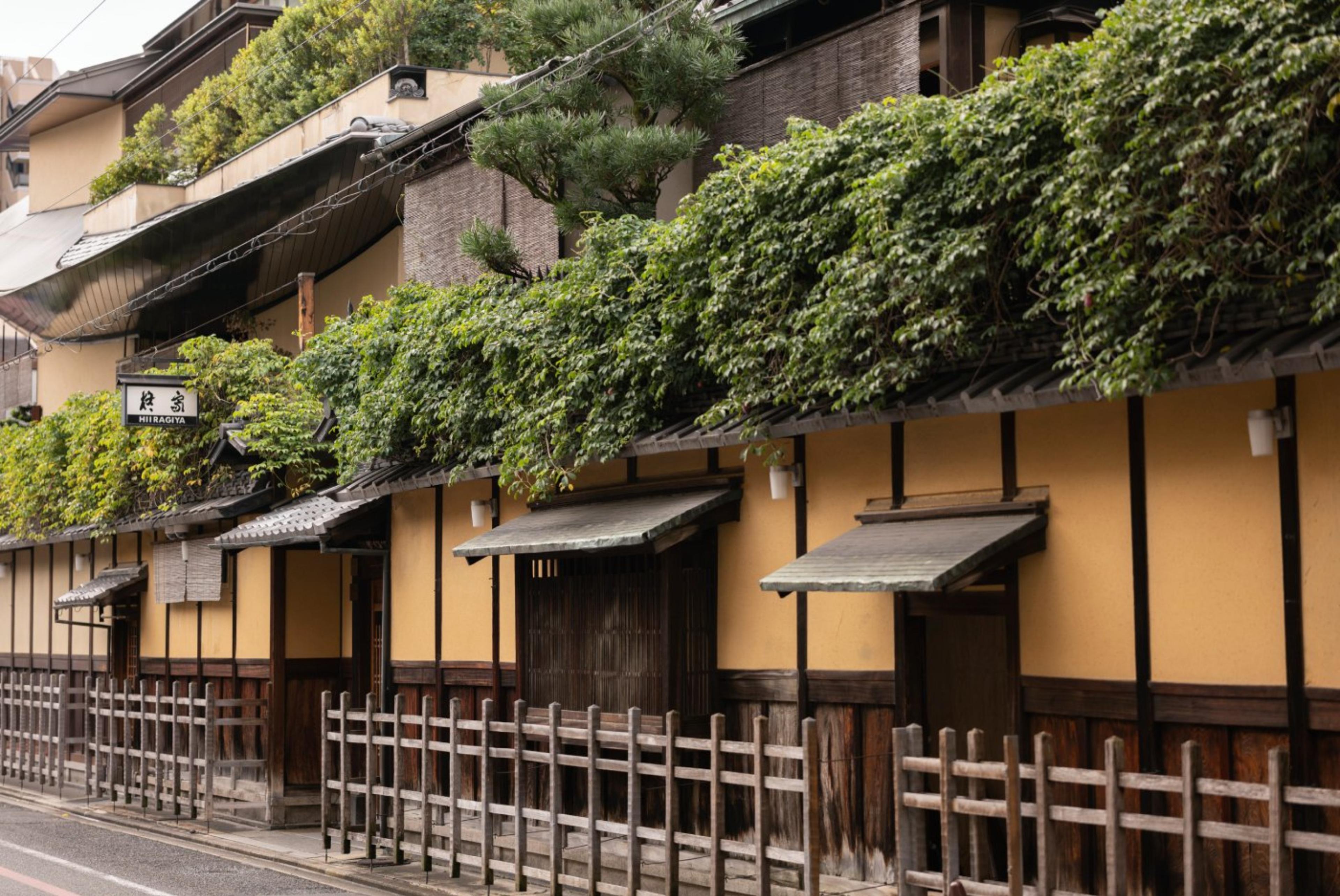 Hiiragiya