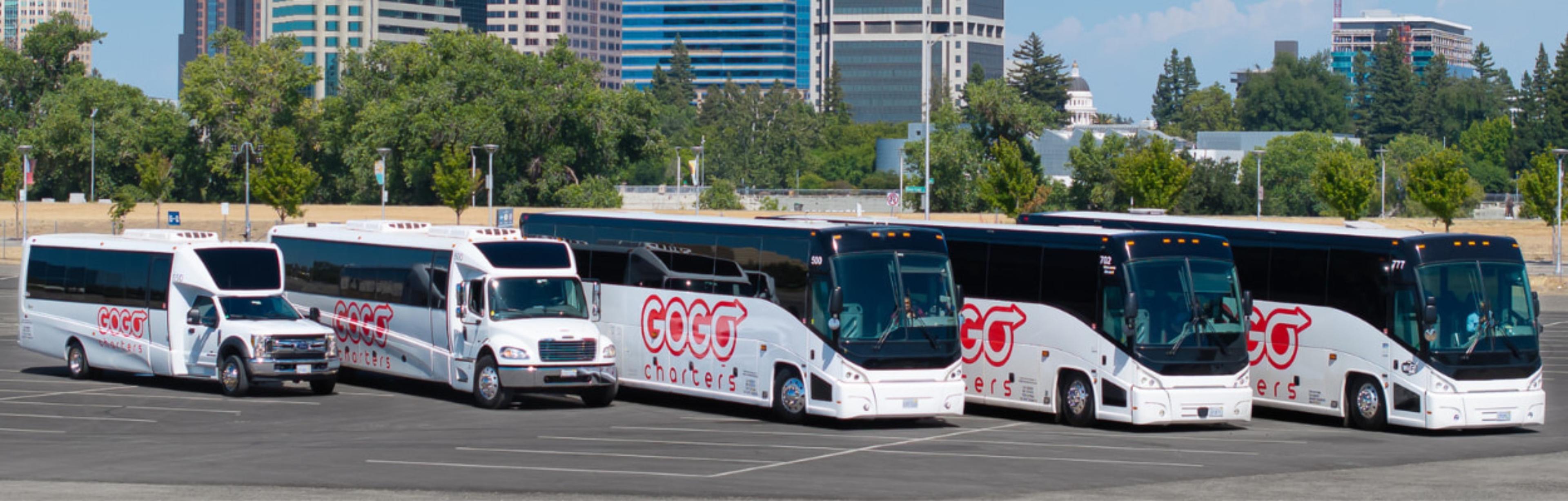Gogo Charters