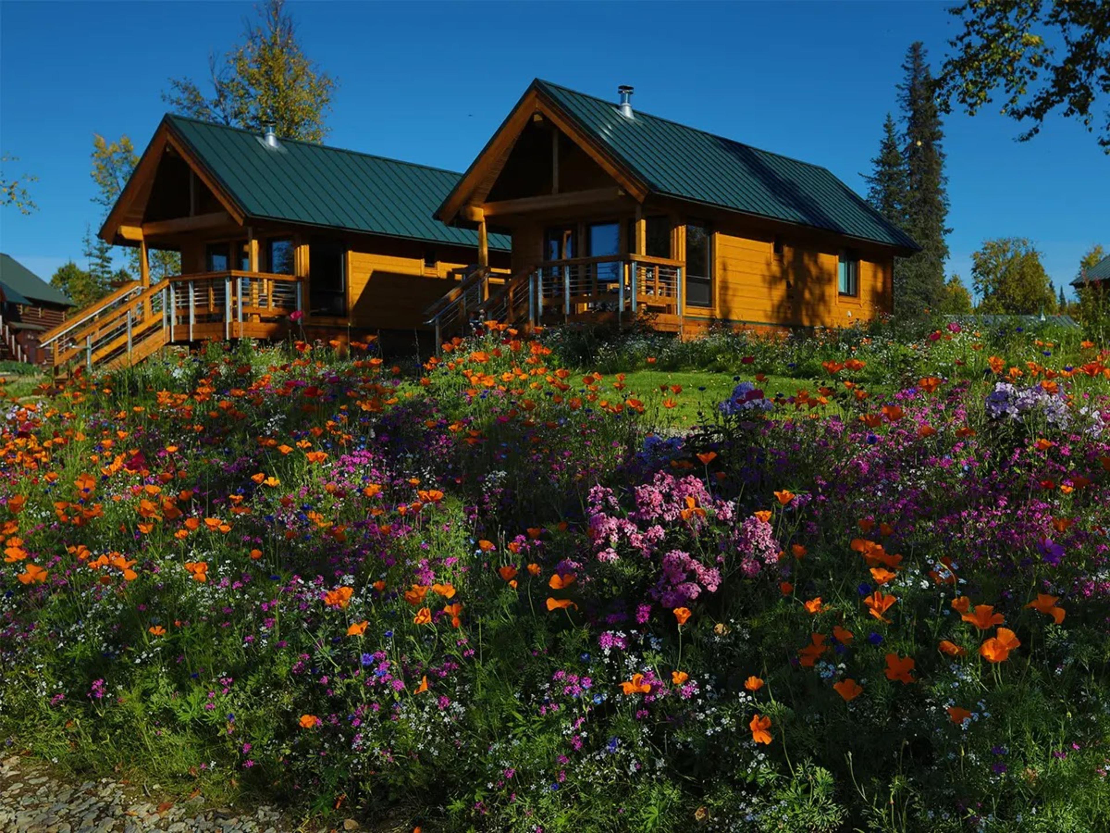 Tordrillo Mountain Lodge