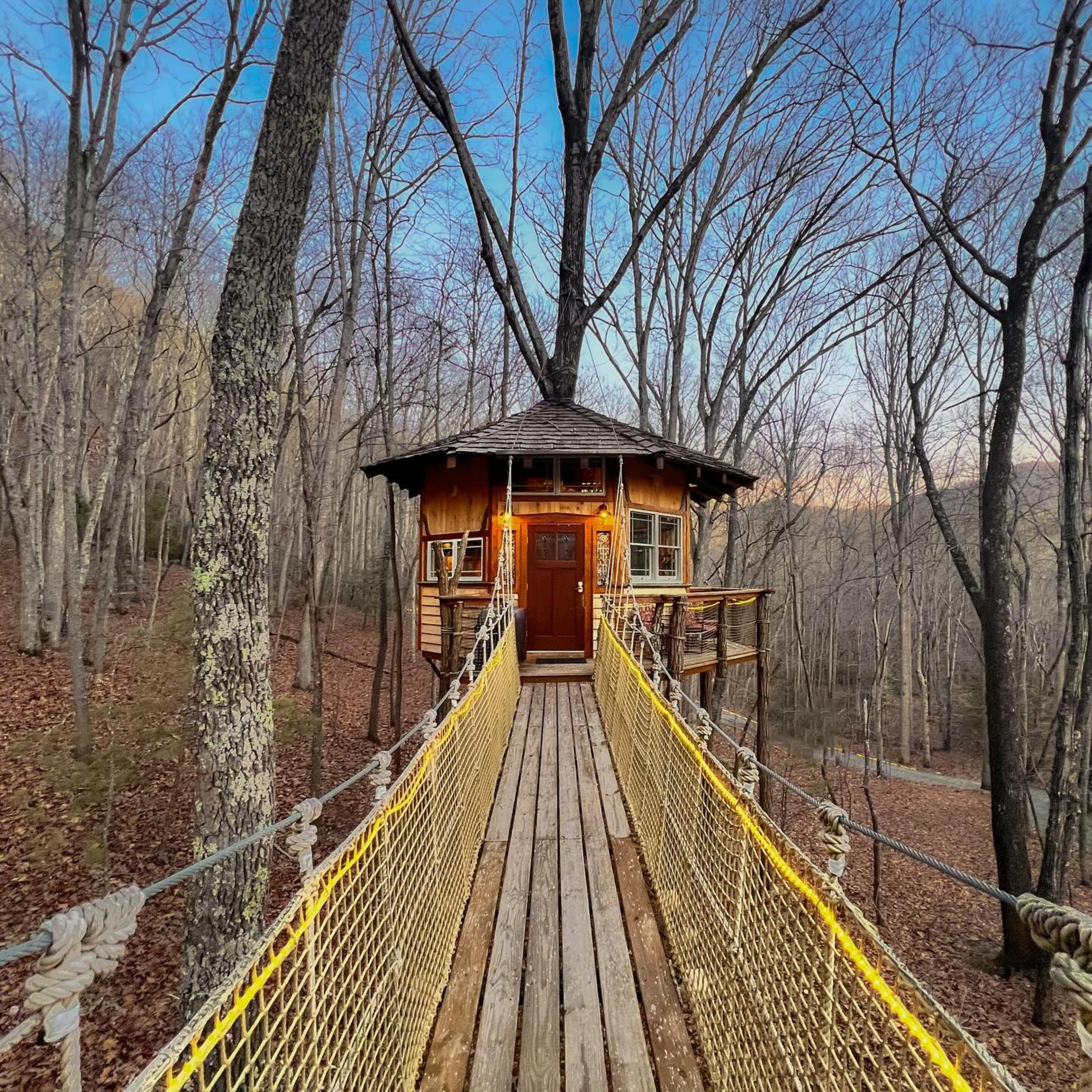 Treehouse Mountain