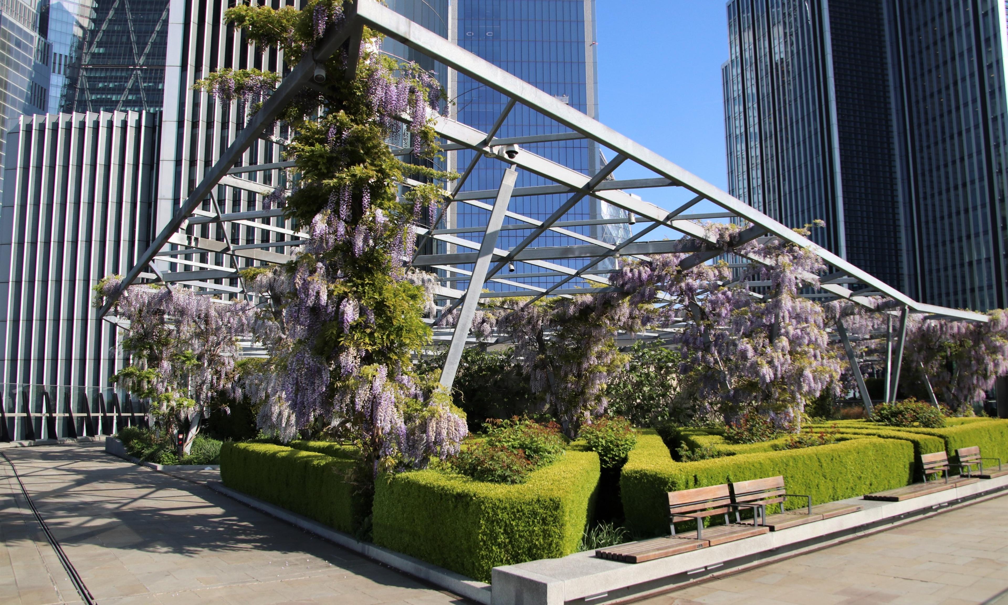 The Garden at 120