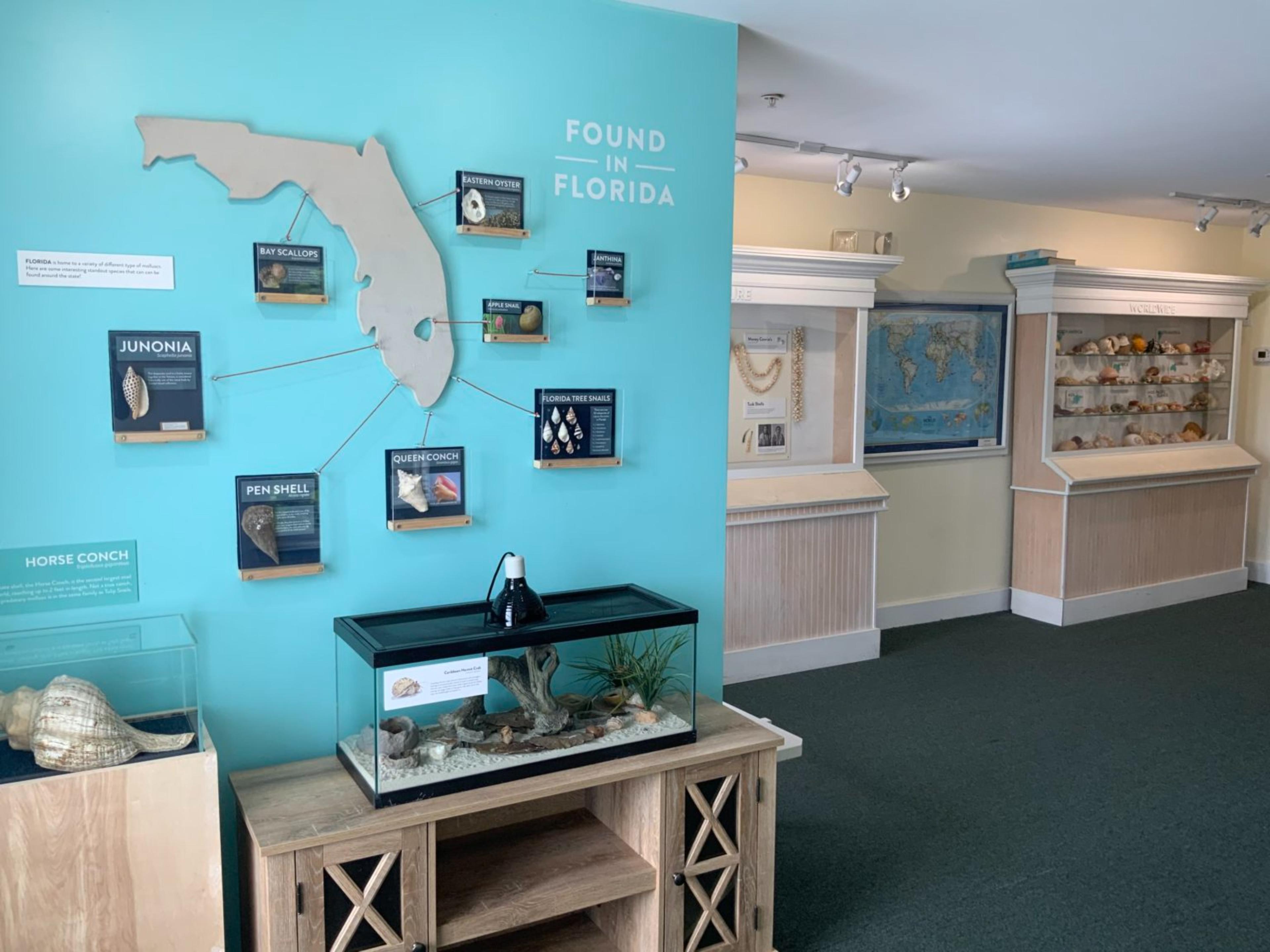 Sandoway Discovery Center