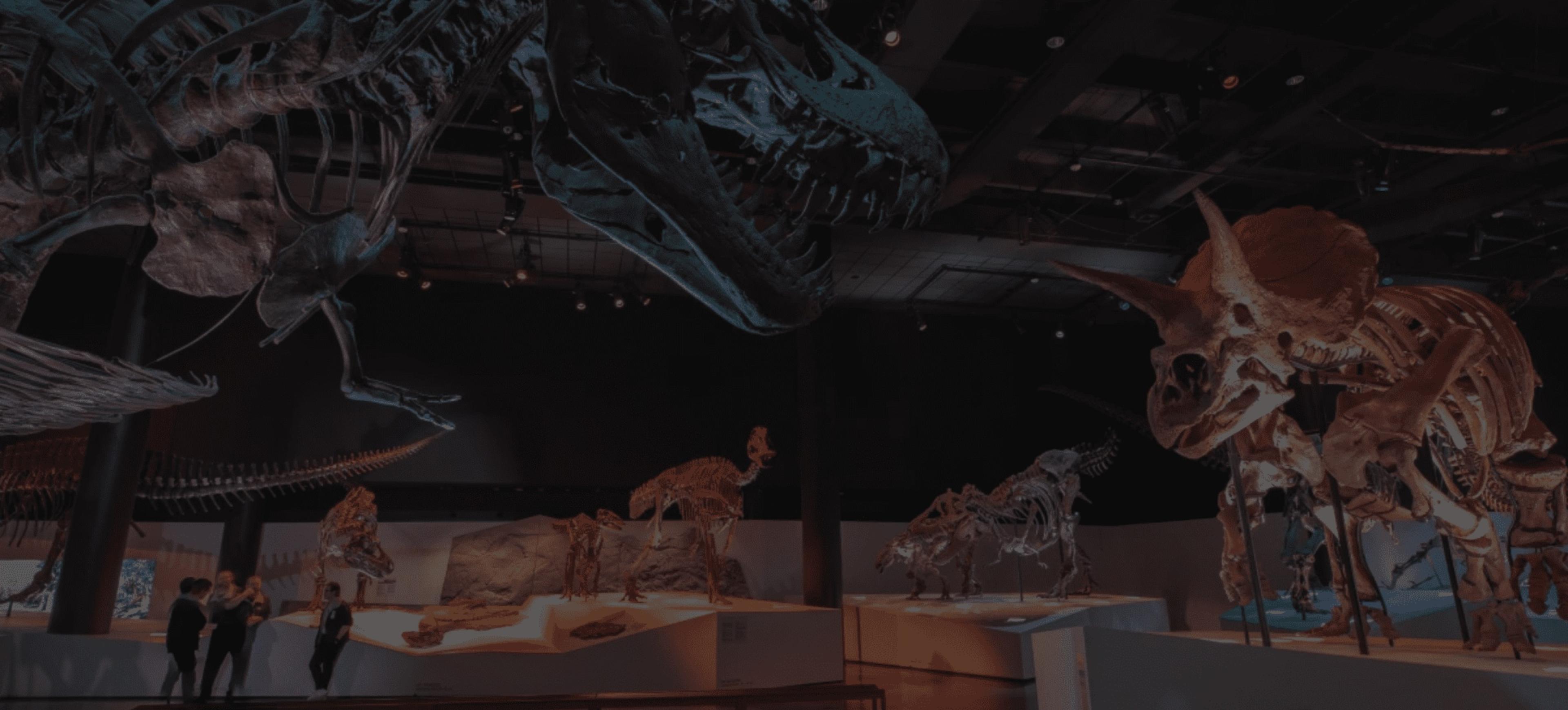 Houston Museum of Natural Science at Sugar Land