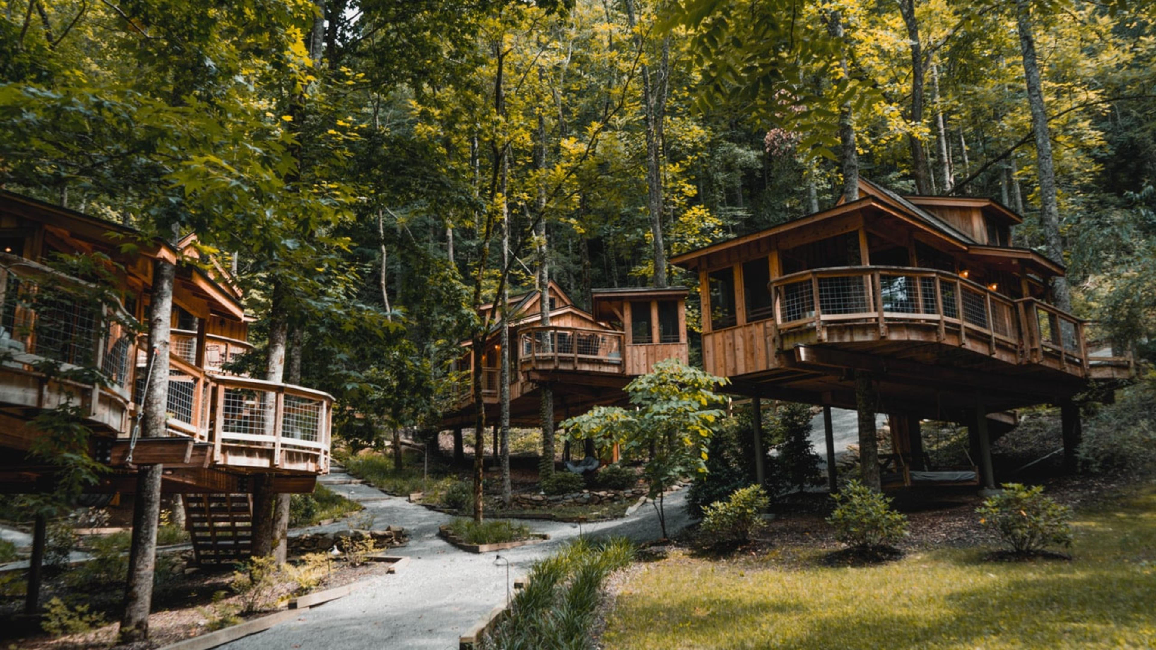 Treehouse Grove At Norton Creek Resort