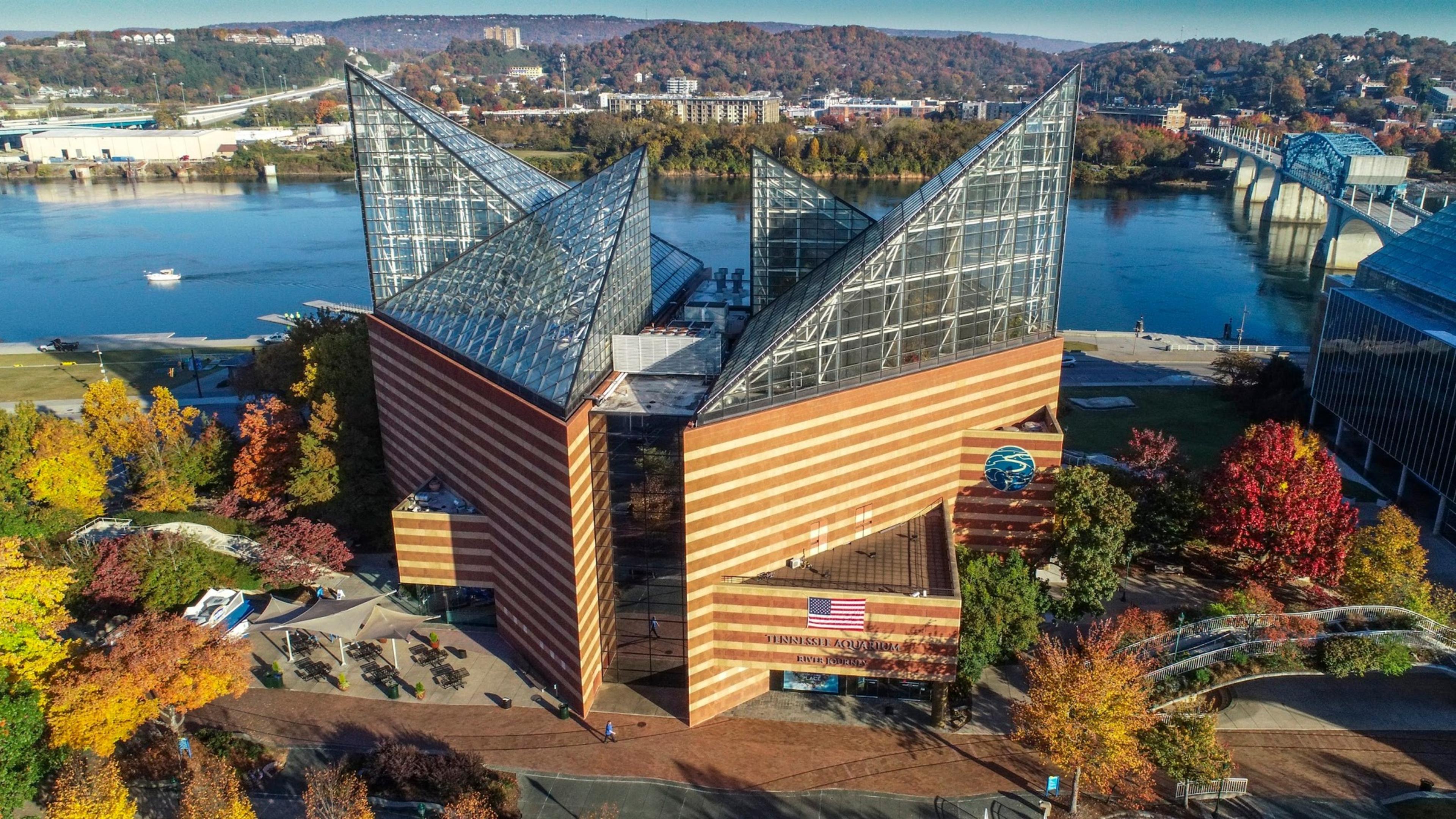 Tennessee Aquarium