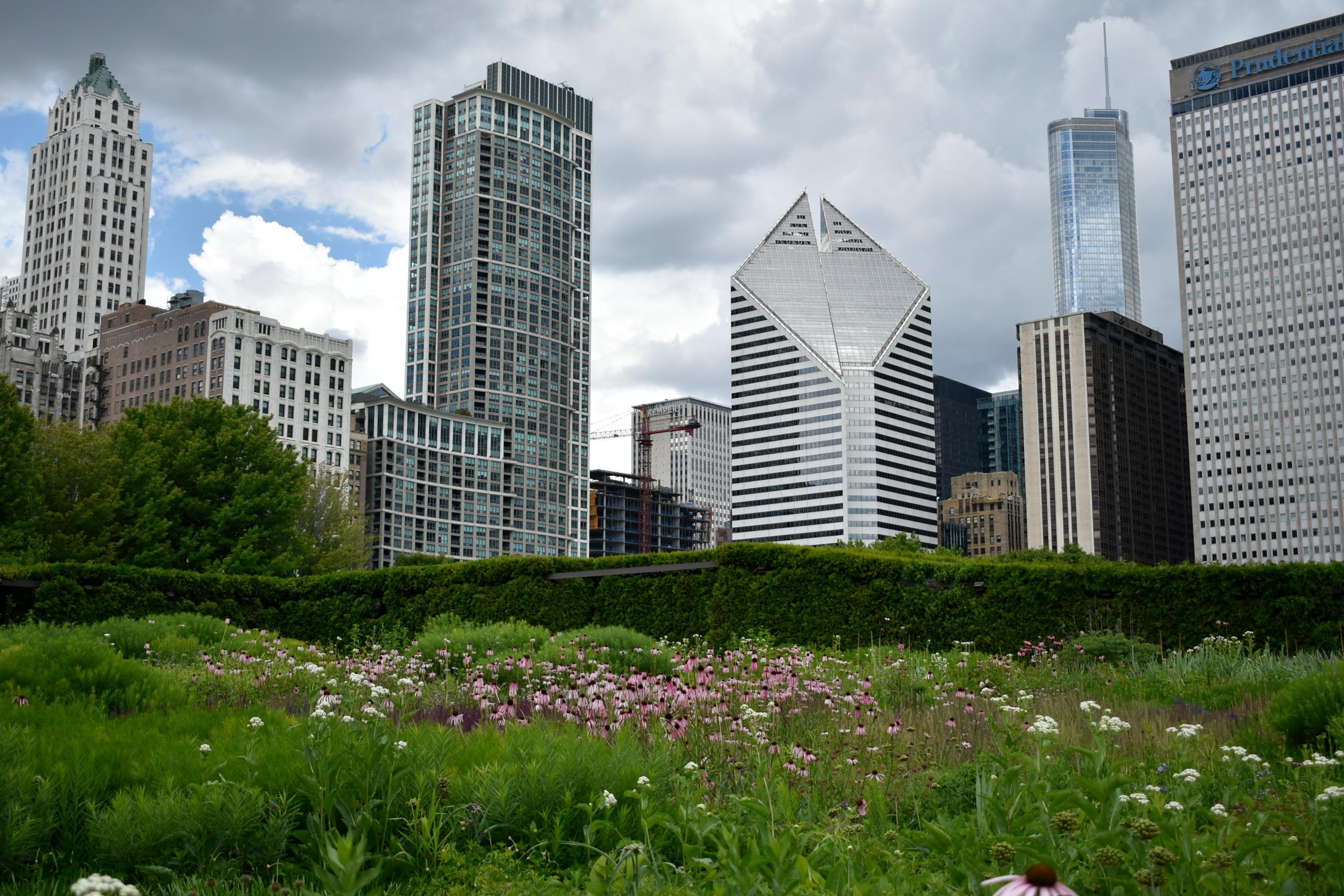 Lurie Garden