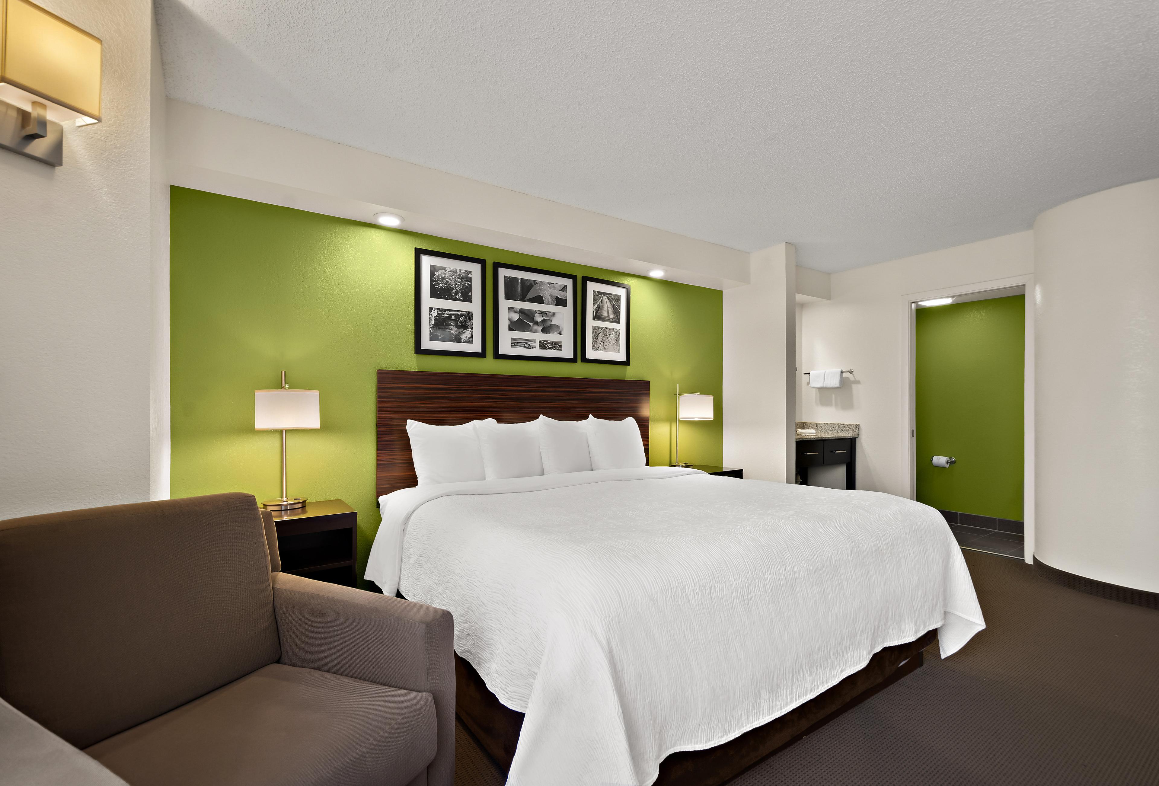 SPOT X HOTEL TAMPA - WESLEY CHAPEL