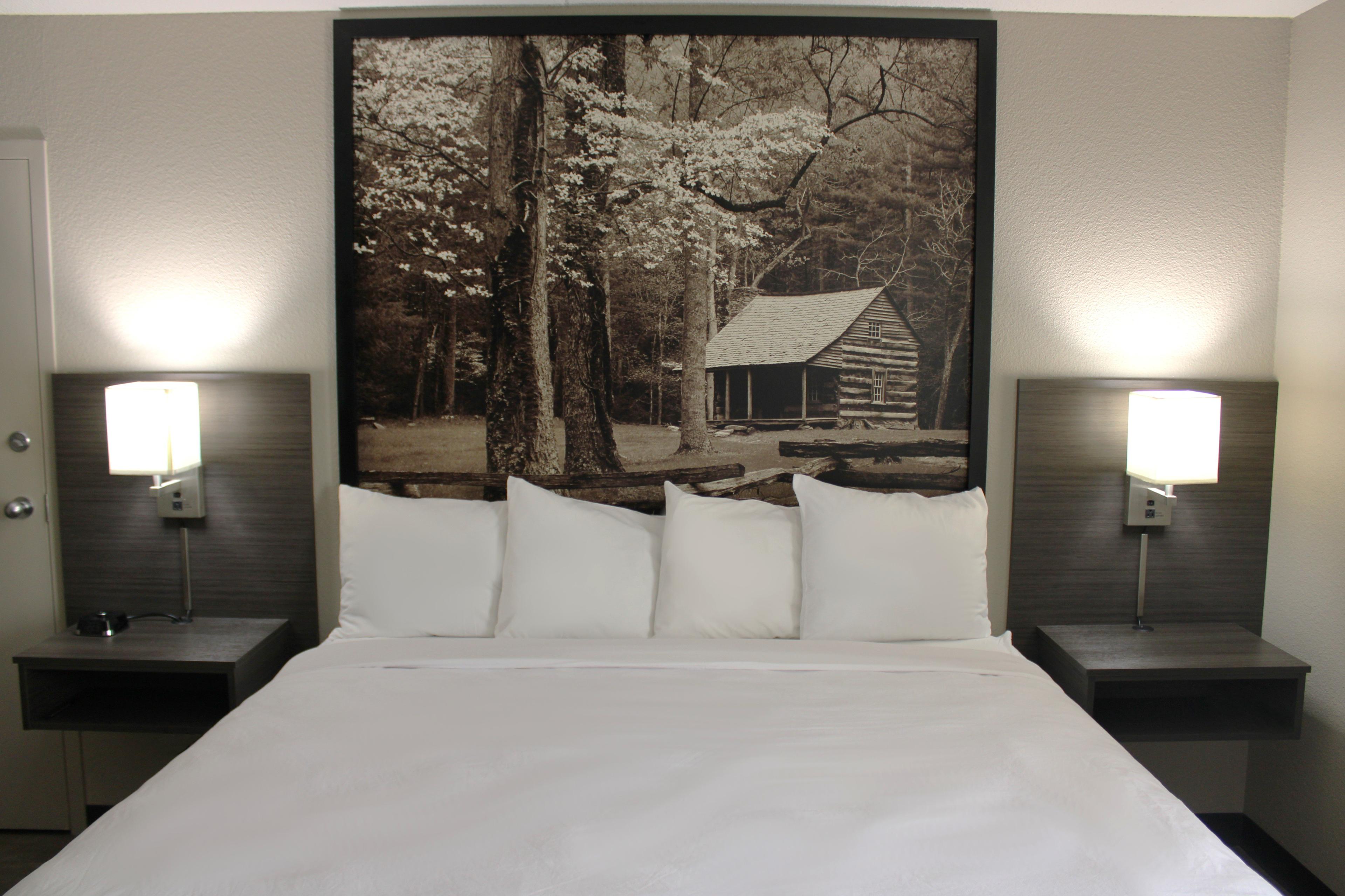 Boarders Inn and Suites Lamar