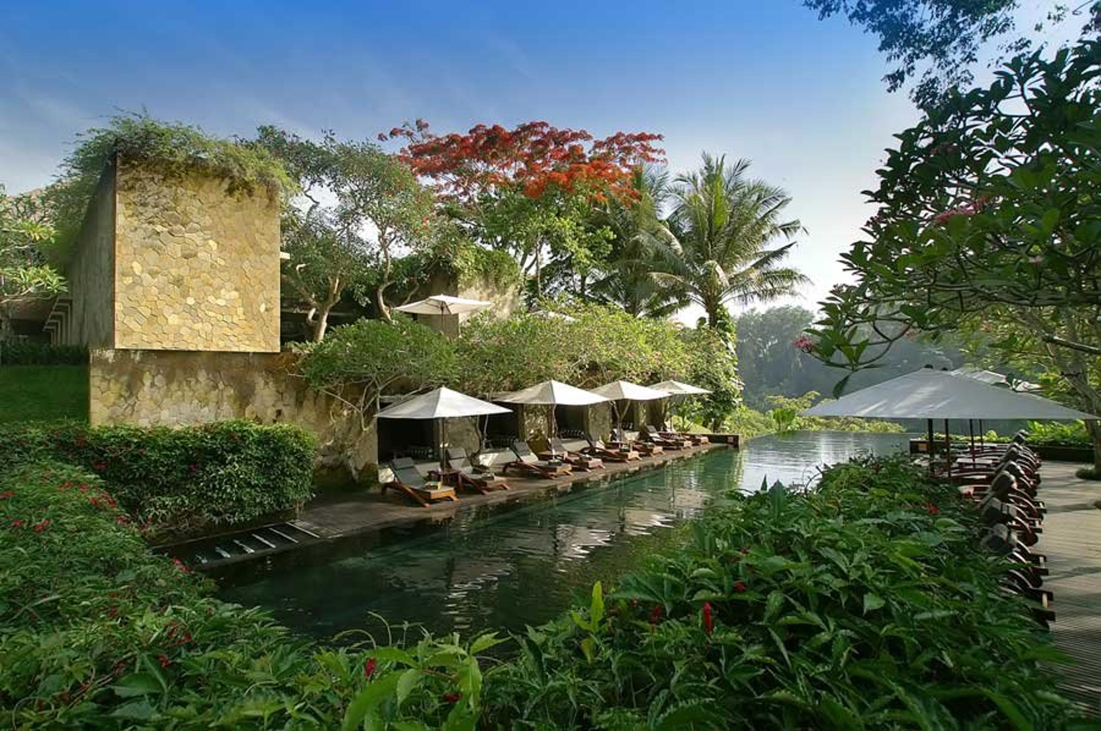 MAYA UBUD RESORT   SPA
