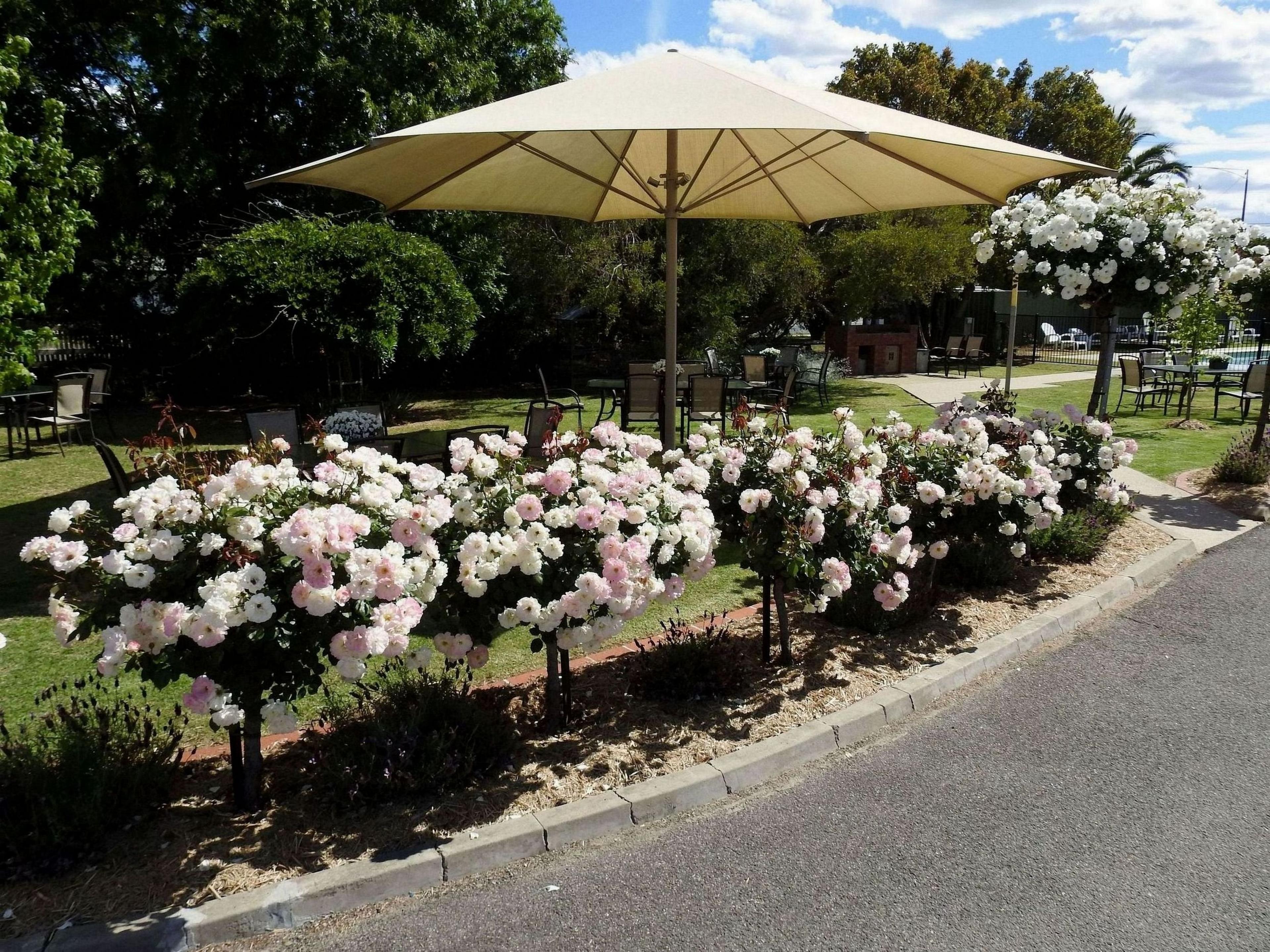 WINE VILLAGE MOTOR INN
