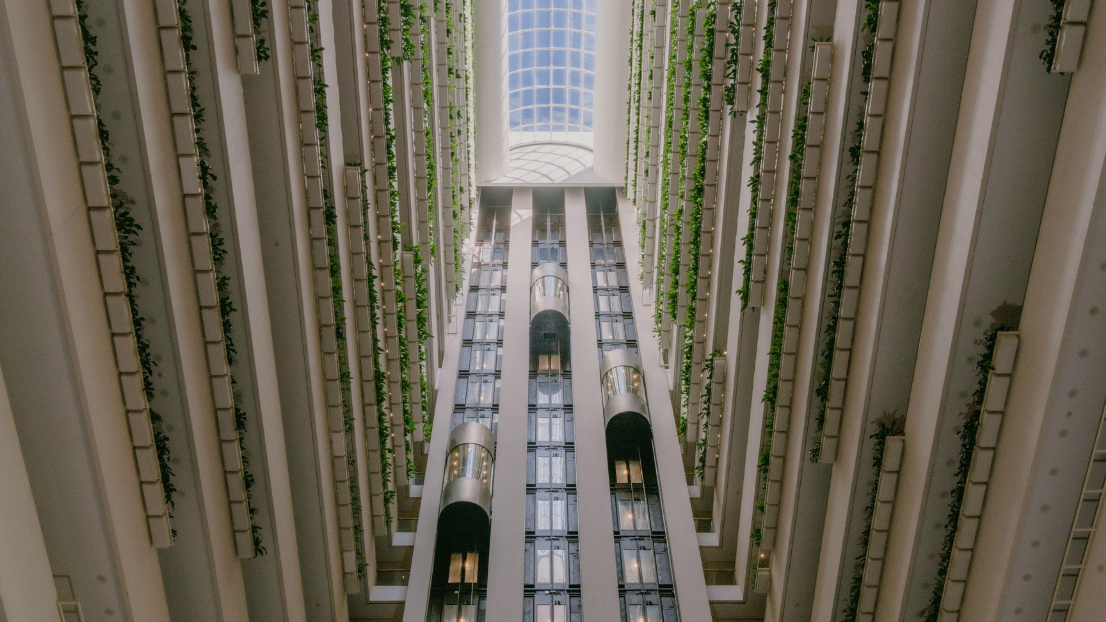 InterContinental Brisbane