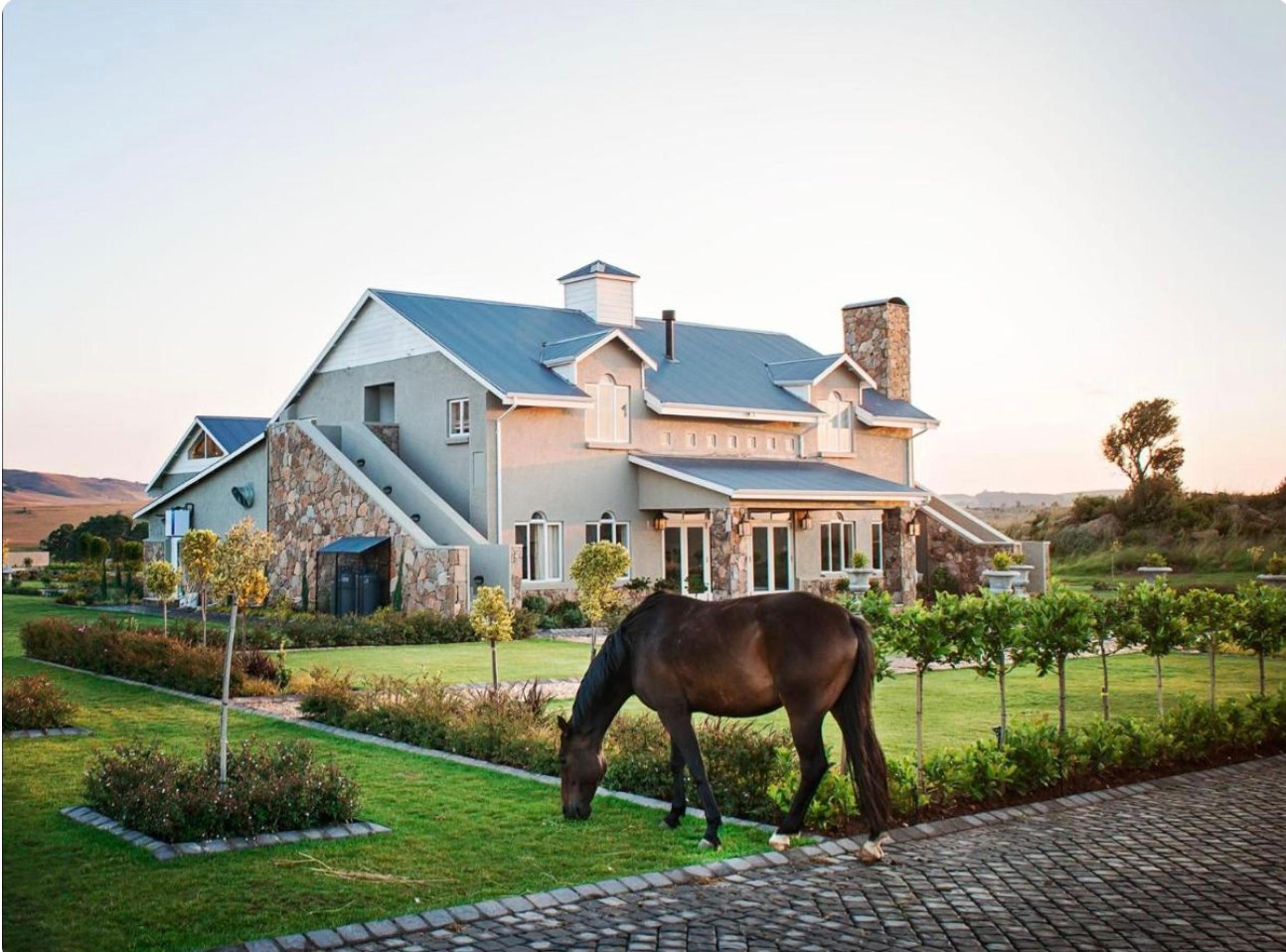Dunkeld Country and Equestrian